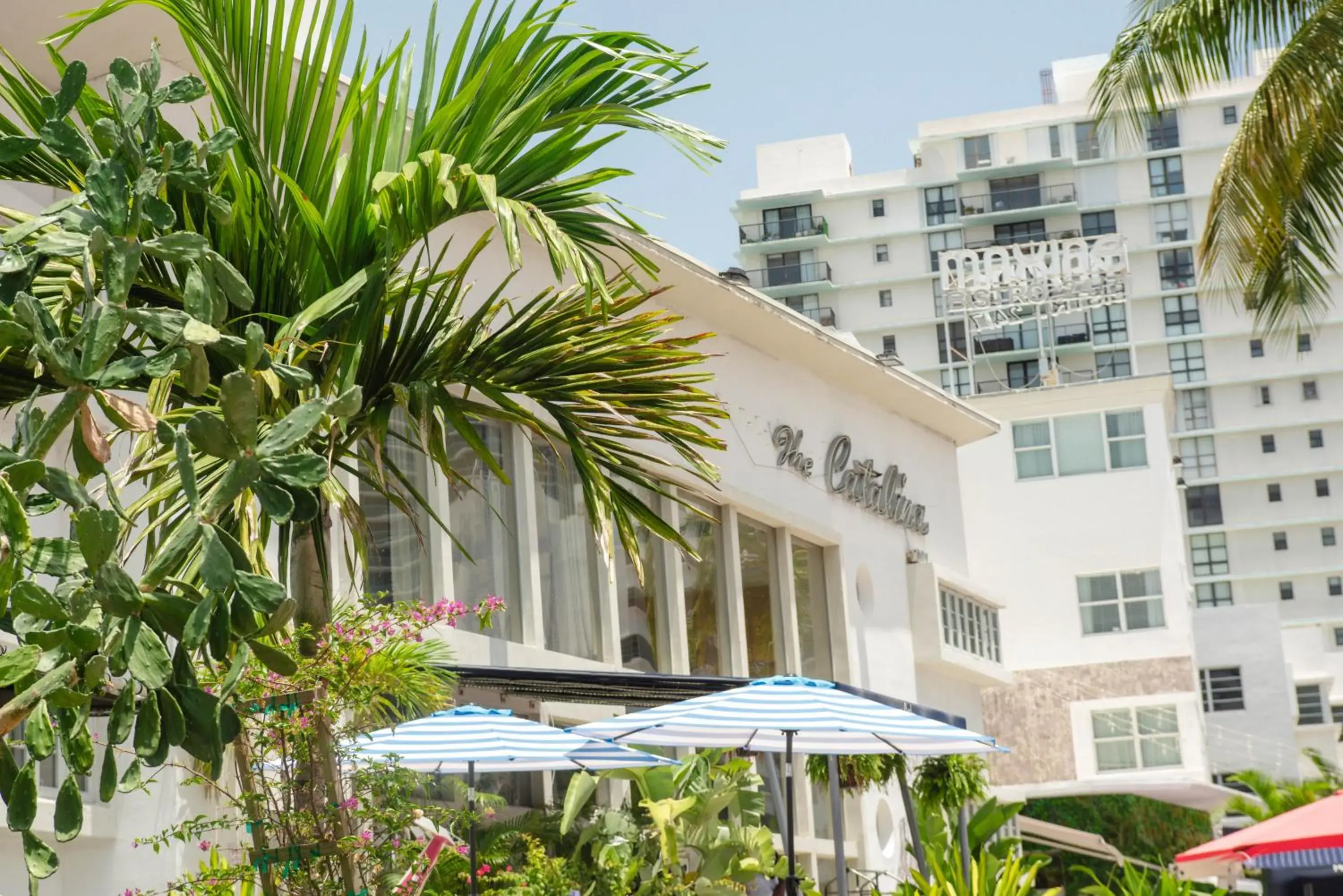 Catalina Hotel & Beach Club Catalina Hotel & Beach Club