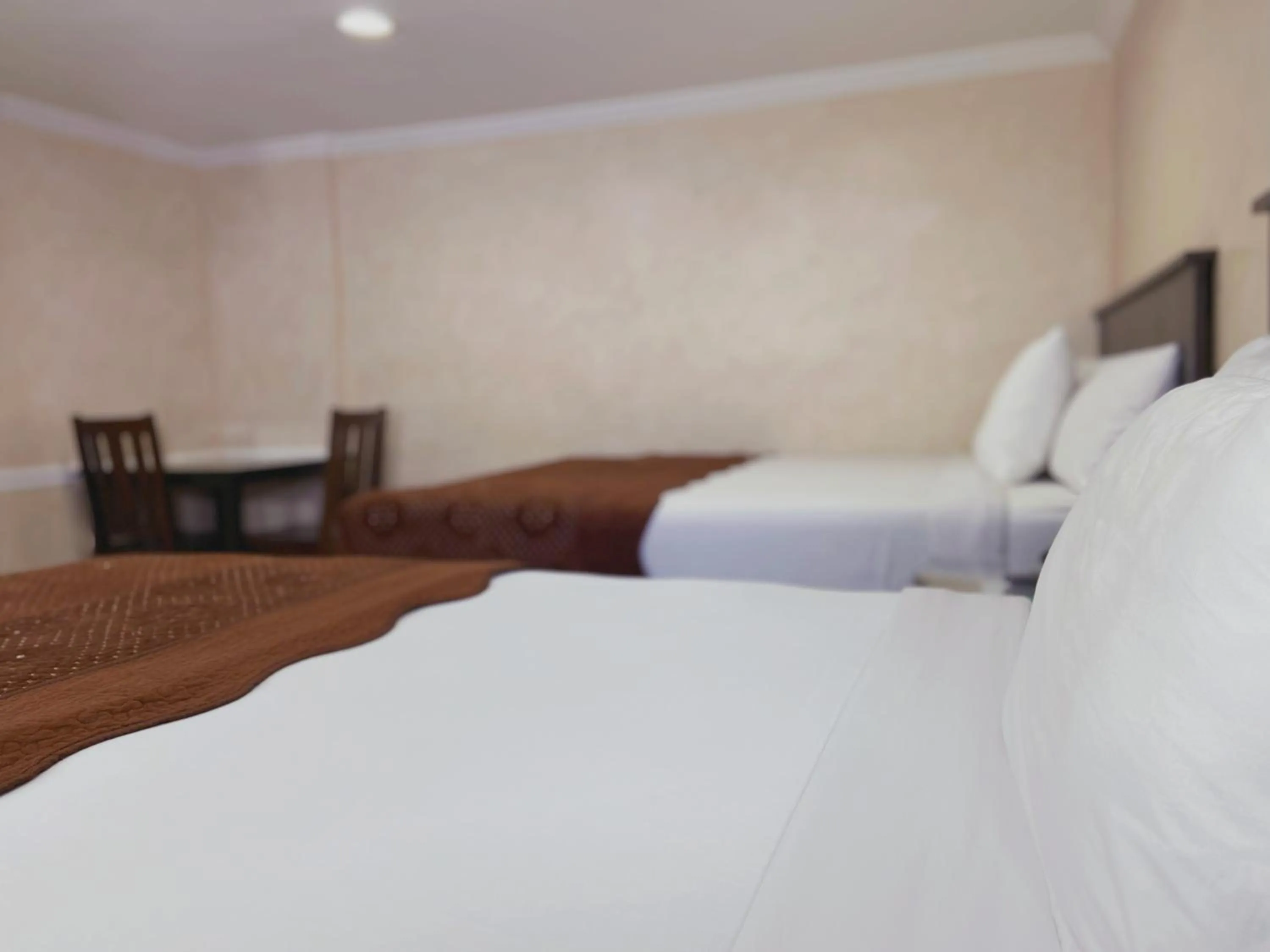 Bed in Nite Inn at Universal City - Walking Distance to Universal Studios Hollywood