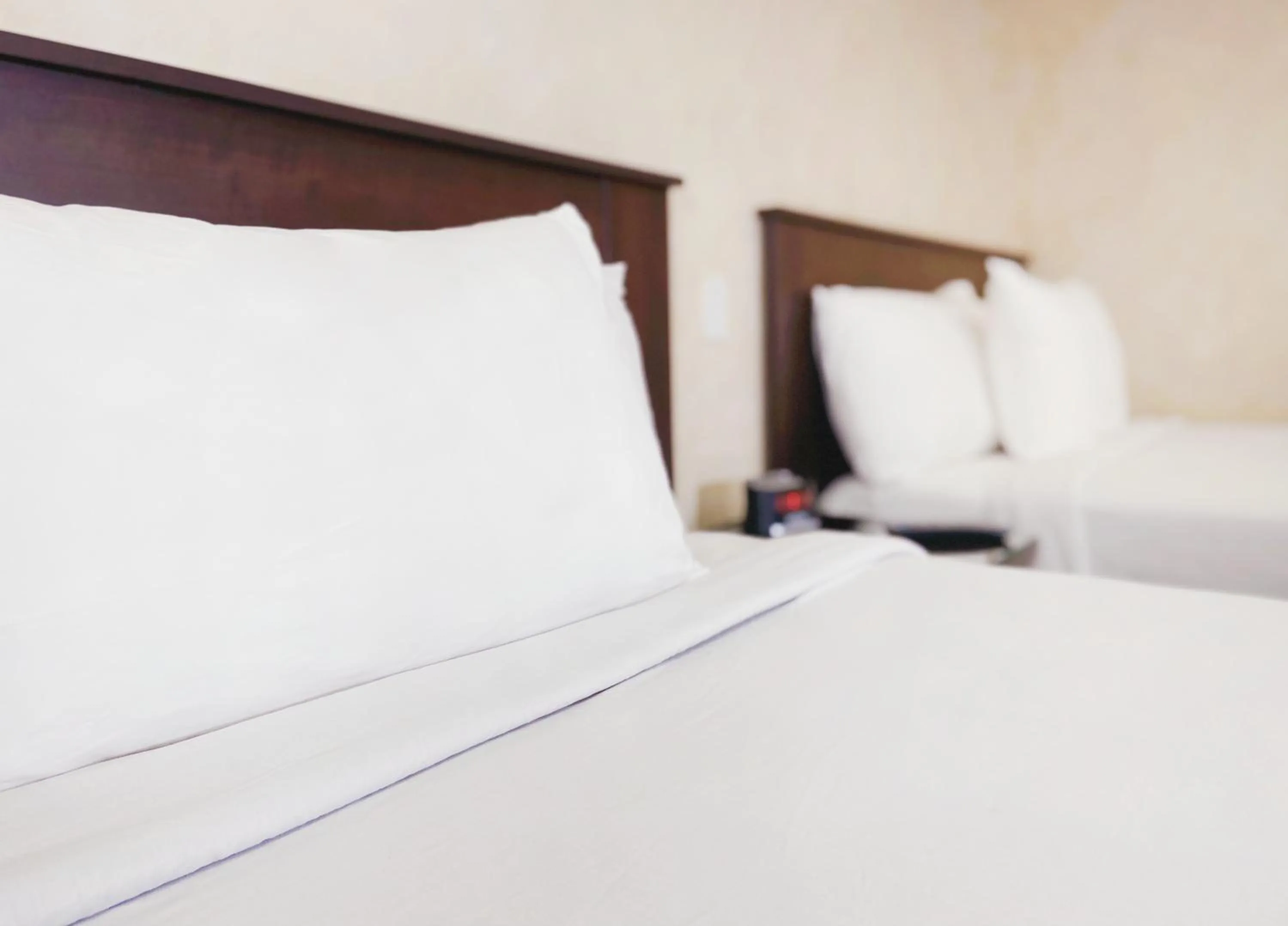 Bed in Nite Inn at Universal City - Walking Distance to Universal Studios Hollywood