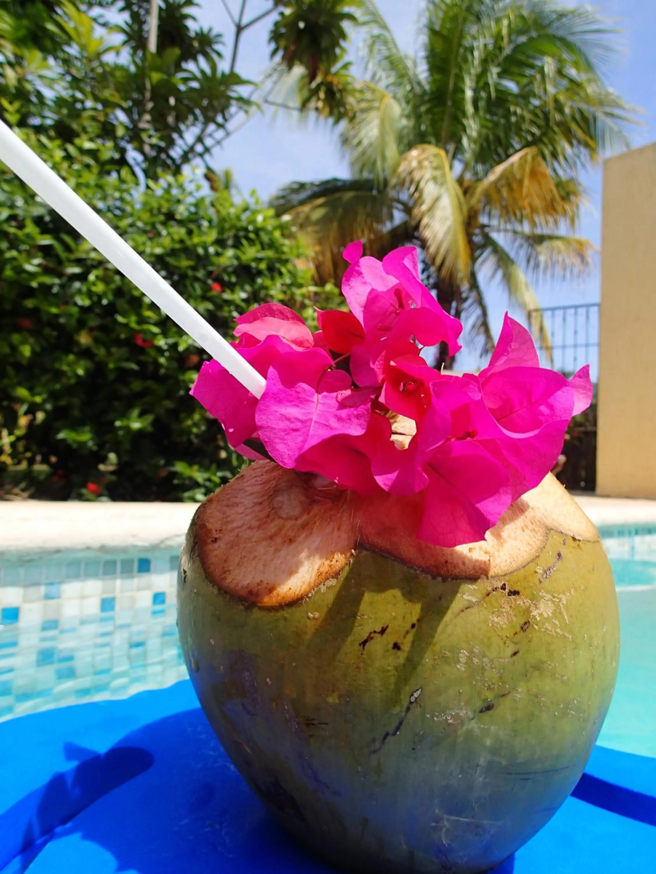  in Margarita del Sol Hotel Costa Maya