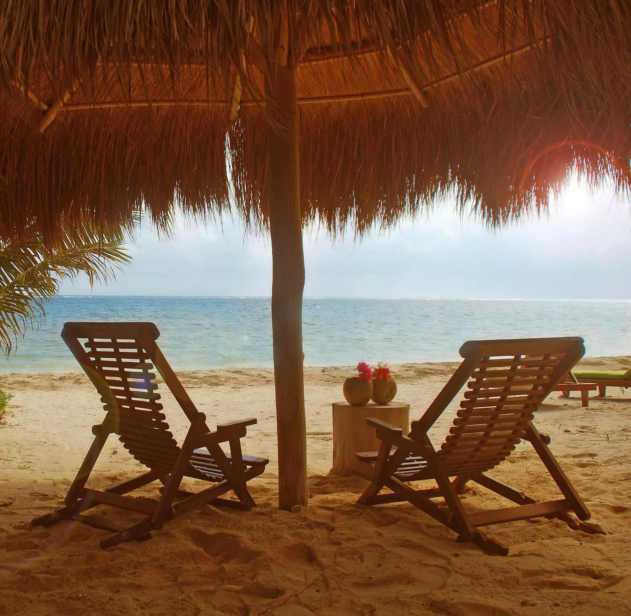 Beach in Margarita del Sol Hotel Costa Maya