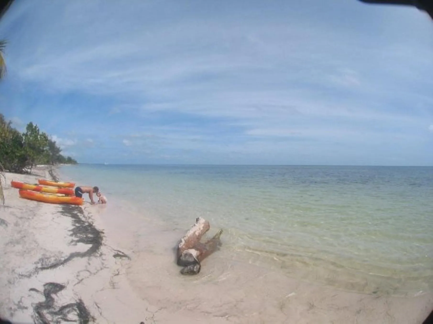 Beach in Margarita del Sol Hotel Costa Maya