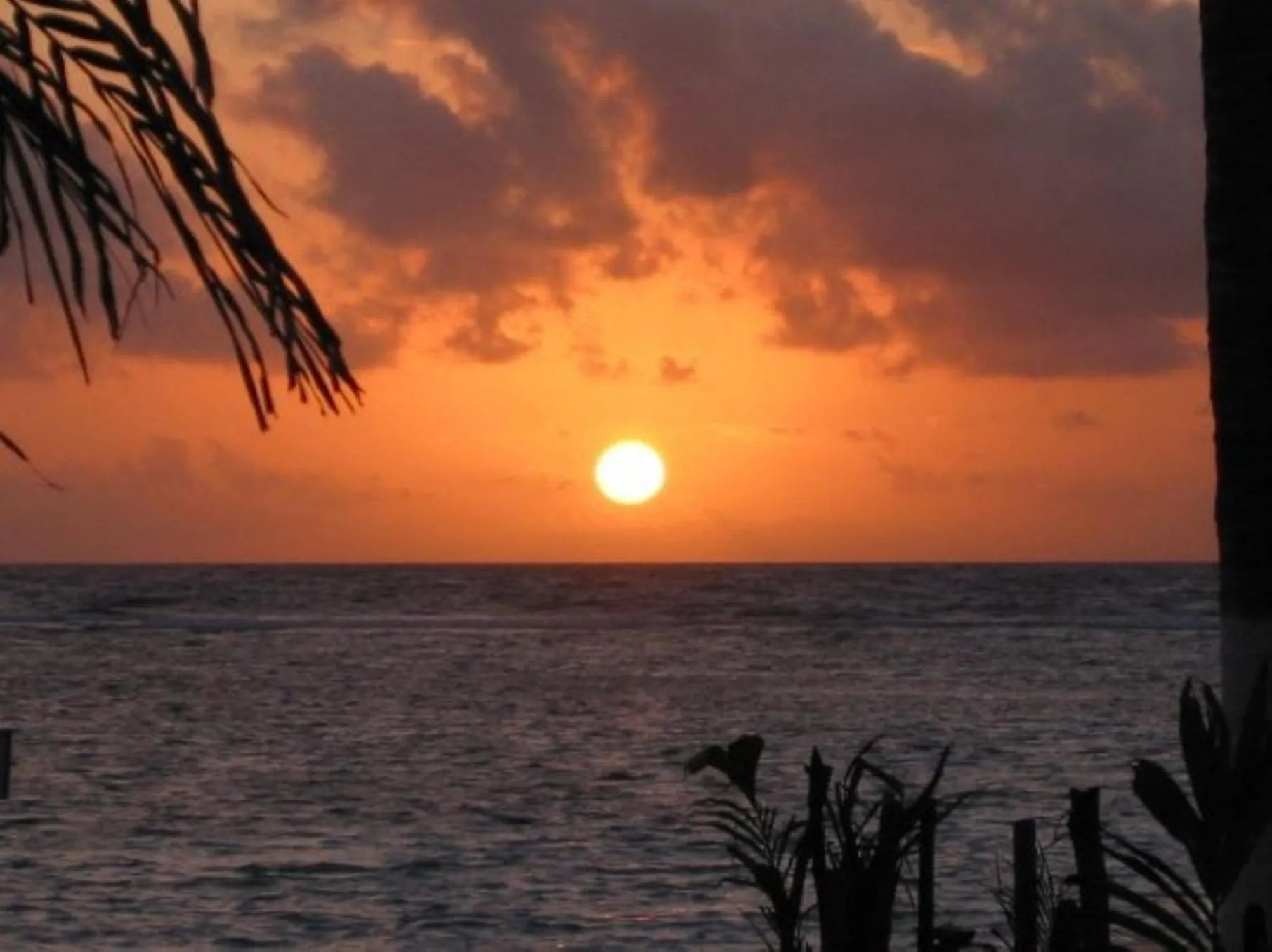 View (from property/room) in Margarita del Sol Hotel Costa Maya