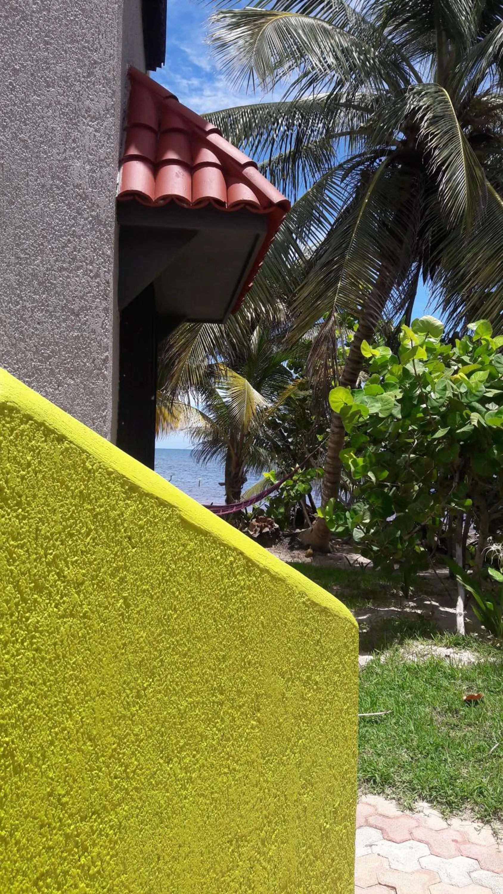 Garden in Margarita del Sol Hotel Costa Maya