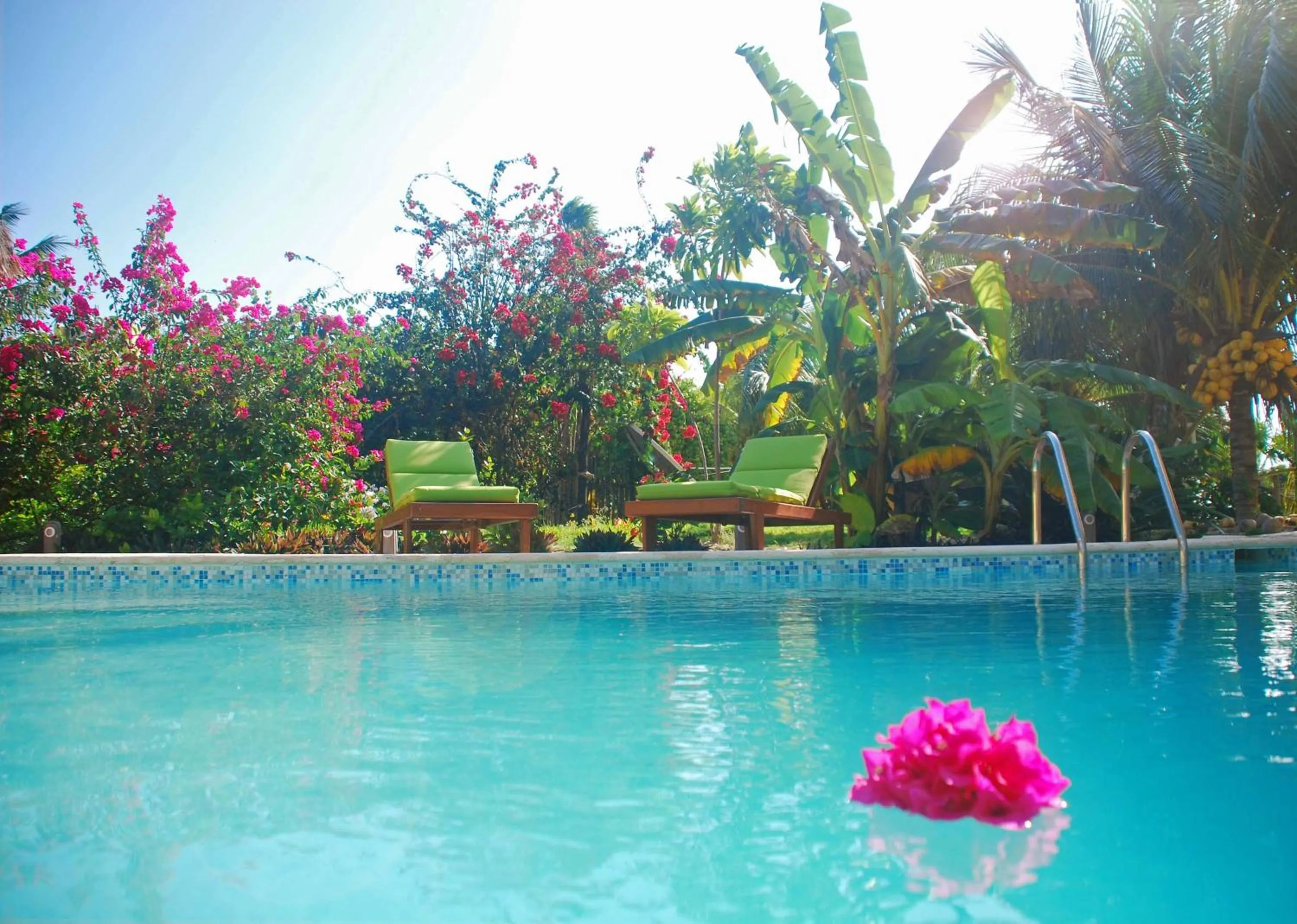 On site in Margarita del Sol Hotel Costa Maya