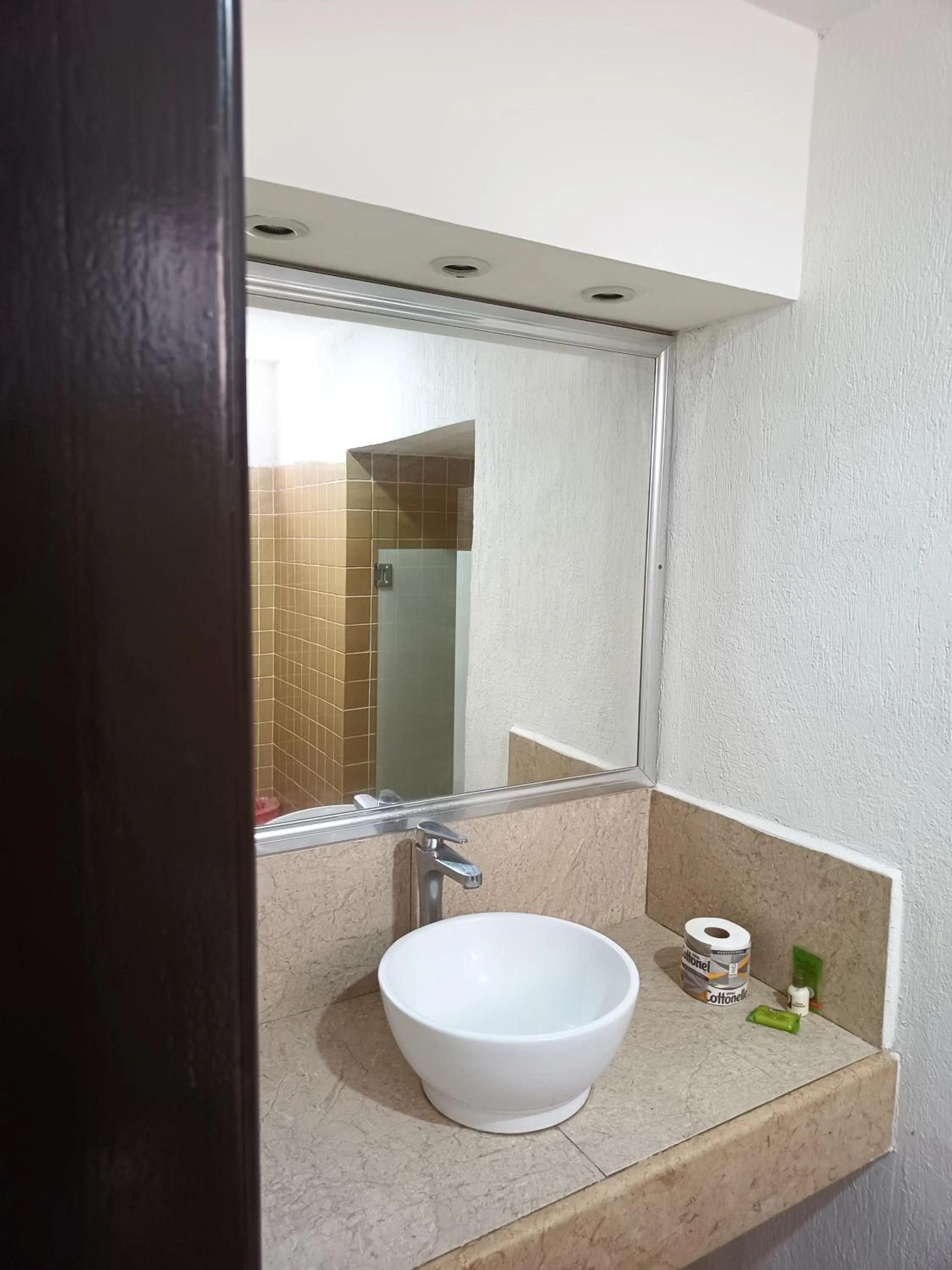 Shower in Hotel Essen's