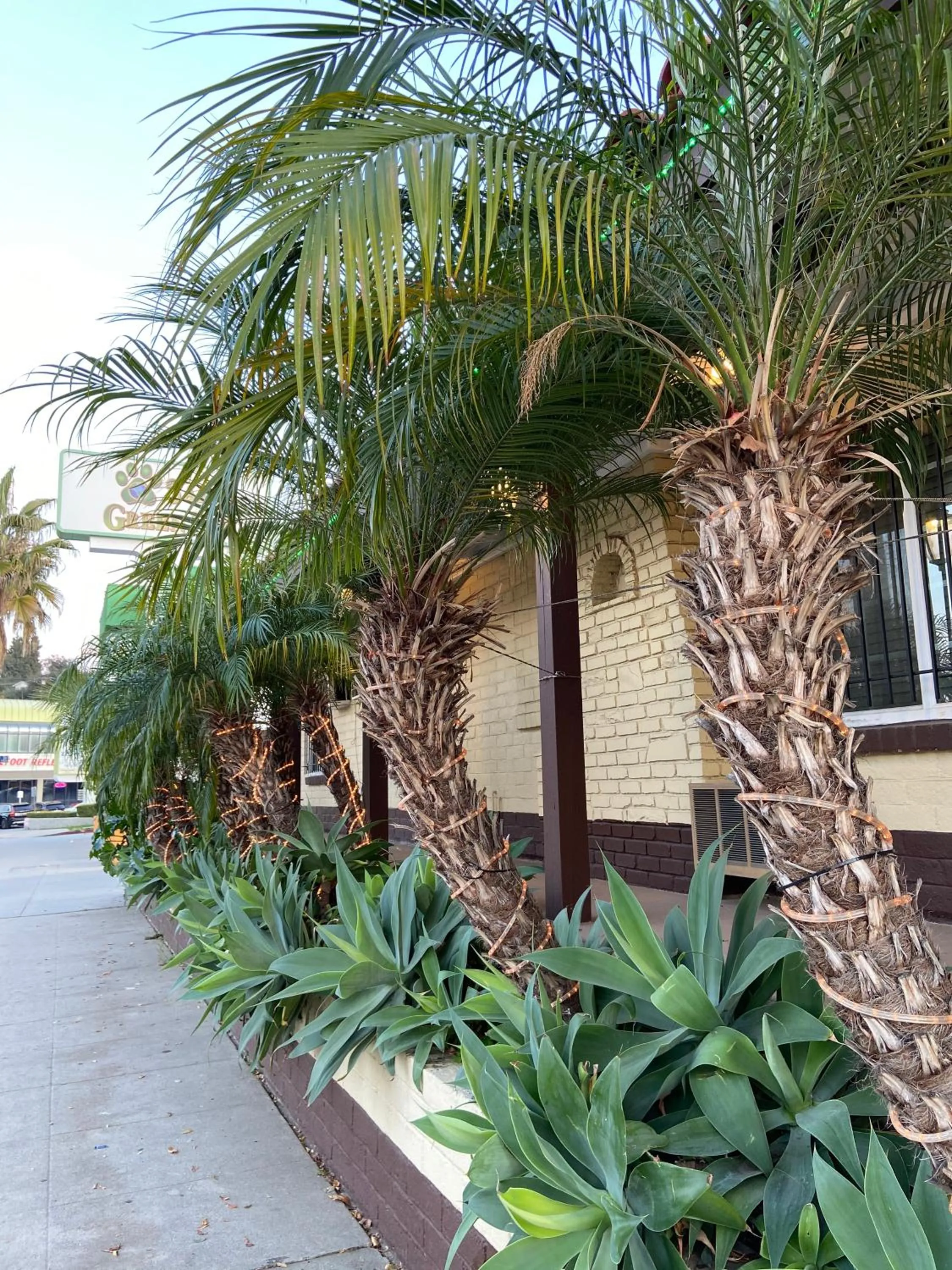 Property building in El Patio Inn - Near Universal Studios Hollywood