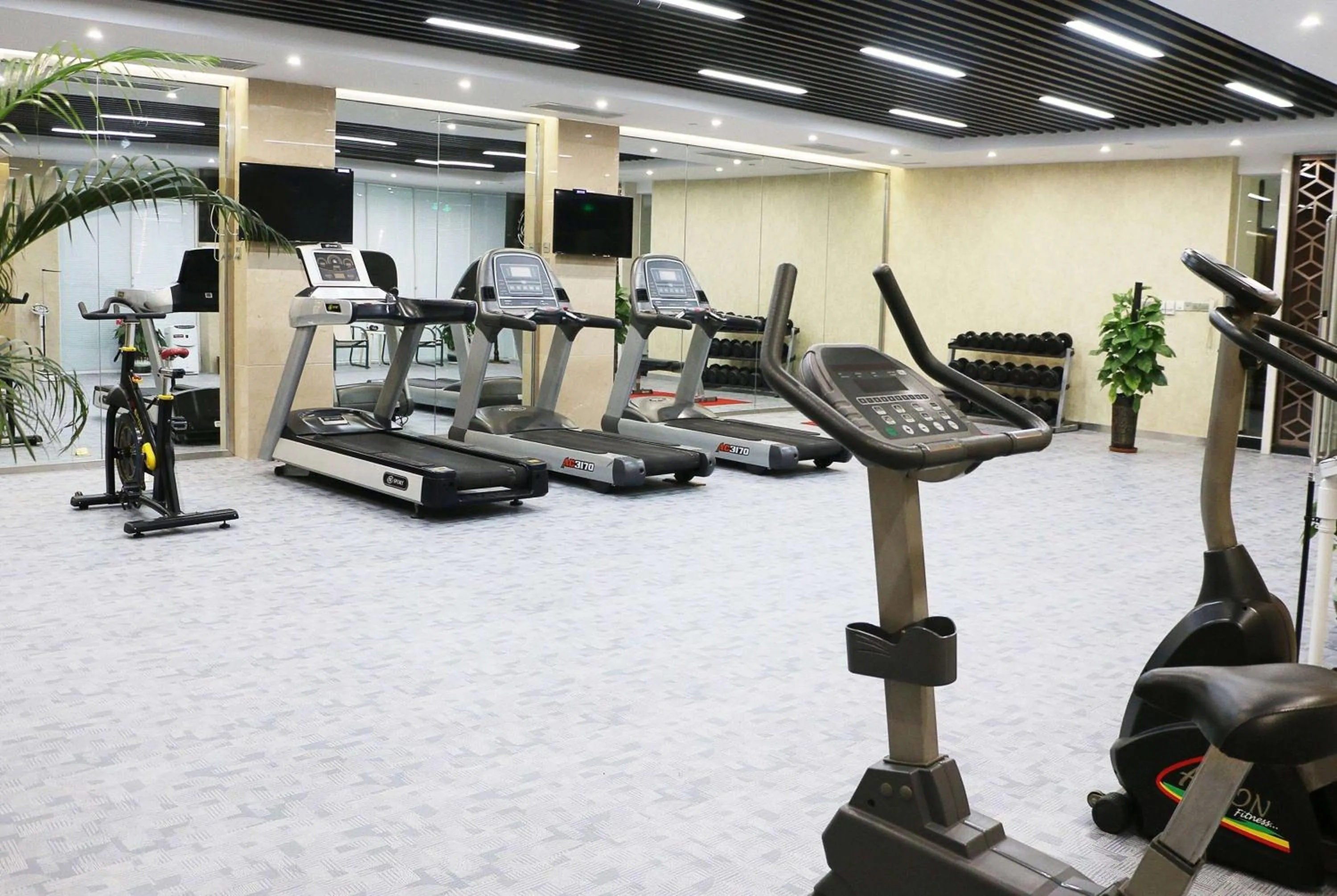 Fitness centre/facilities in Ramada Plaza By Wyndham Taian