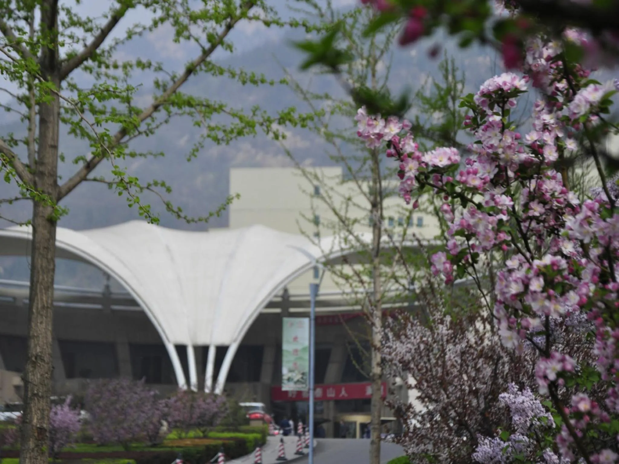 Spring in Ramada Plaza By Wyndham Taian