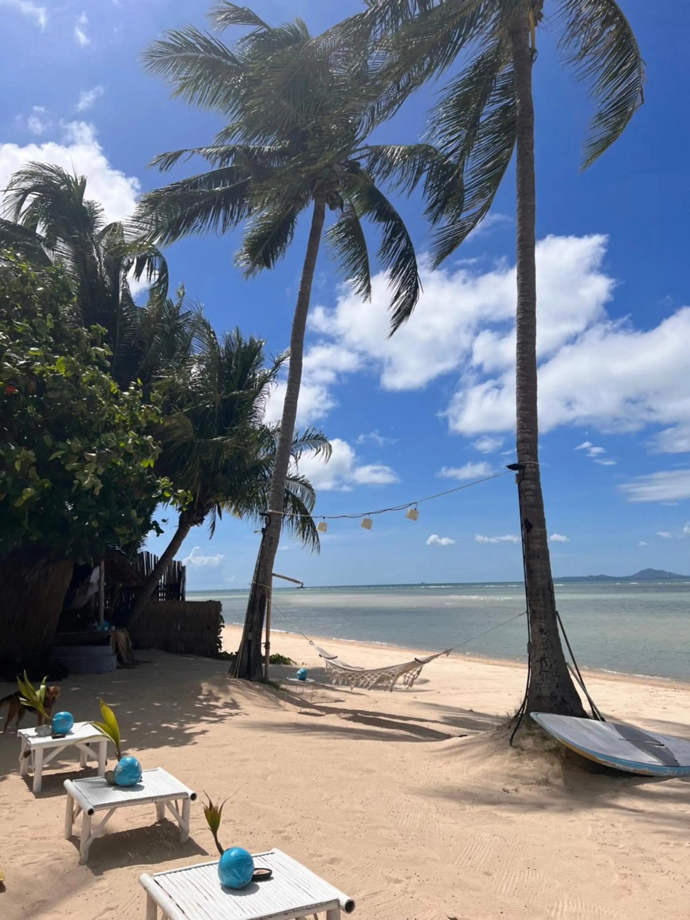 Beach in Sea Love Beach Bar & Bungalows