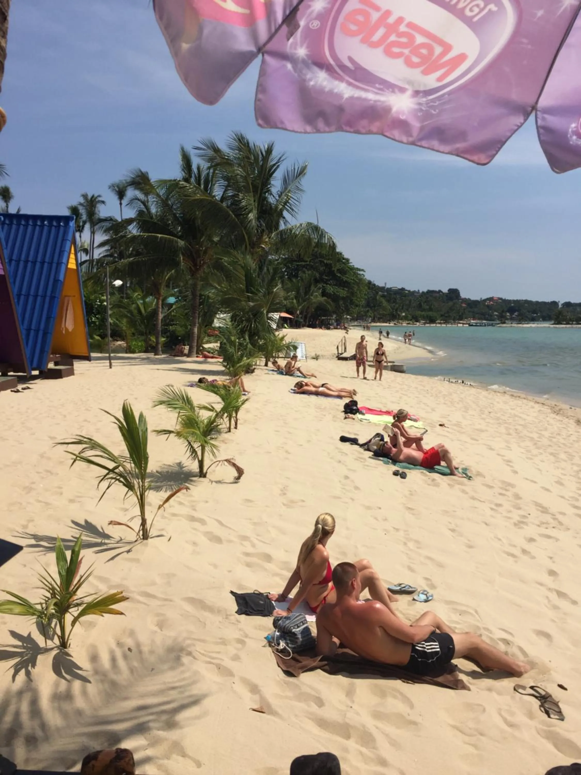 Beach in New Hut Bungalow