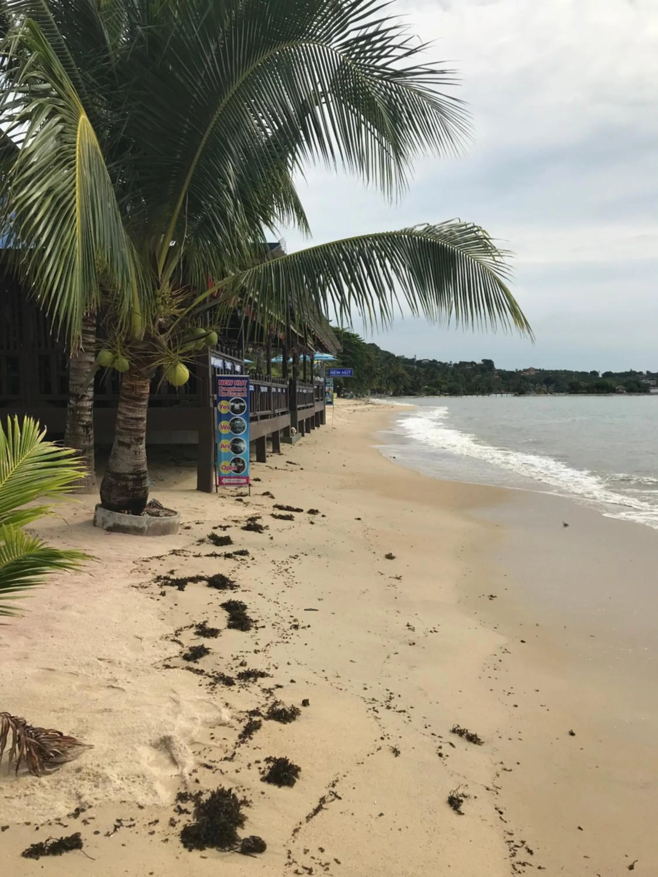 Beach in New Hut Bungalow