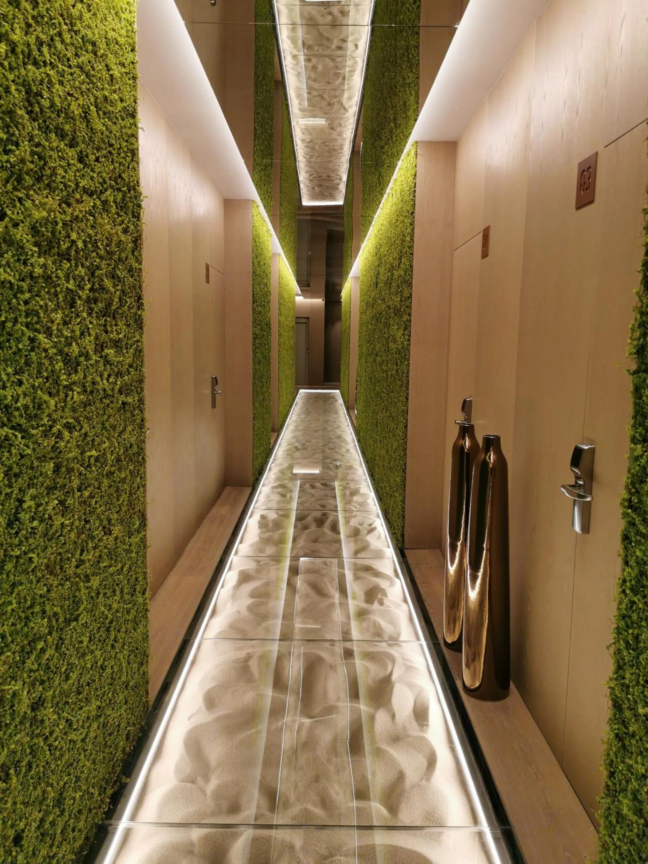 Area and facilities in Playa Grande by Tropical