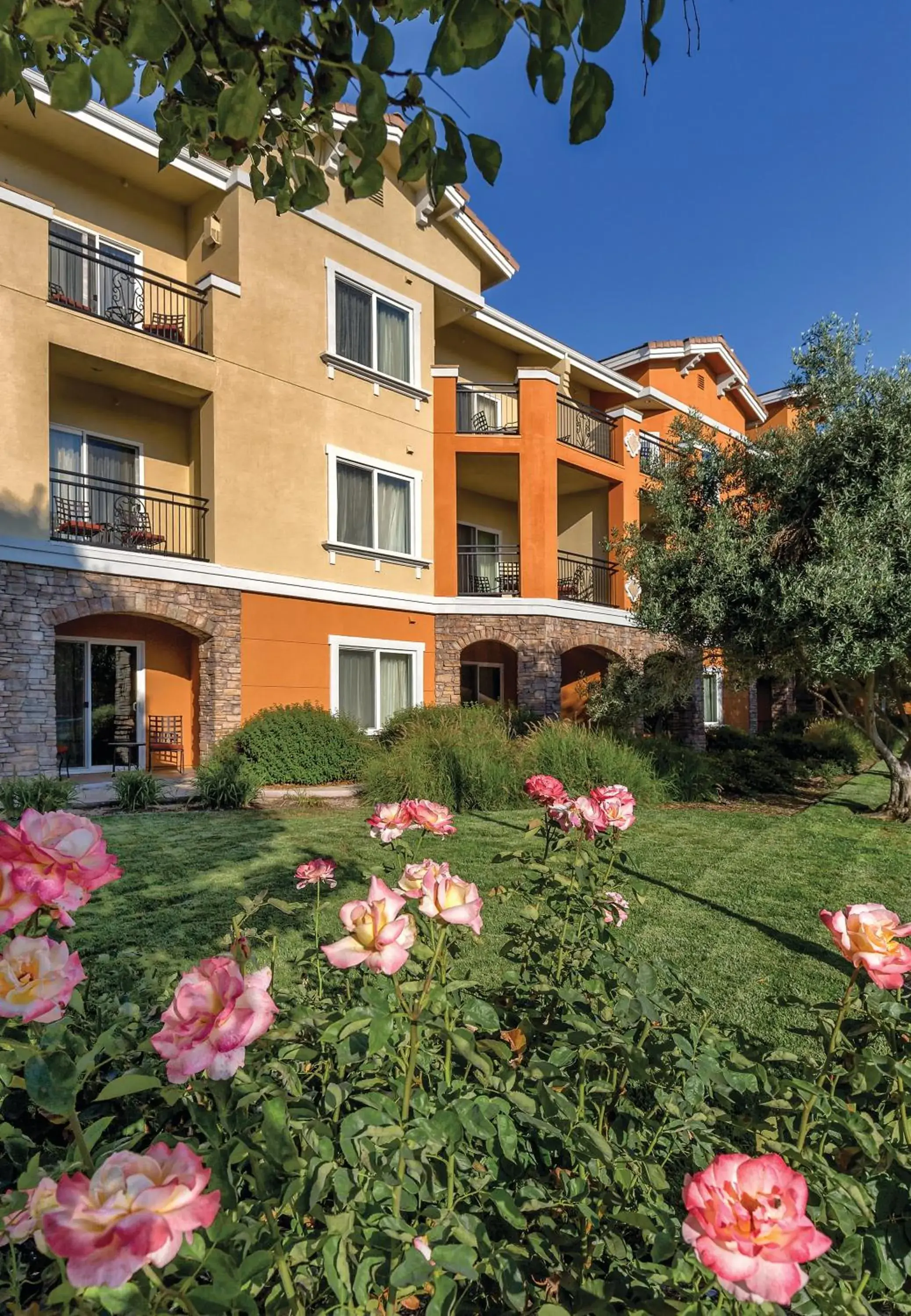 Property building in Vino Bello Resort Property building in Vino Bello Resort