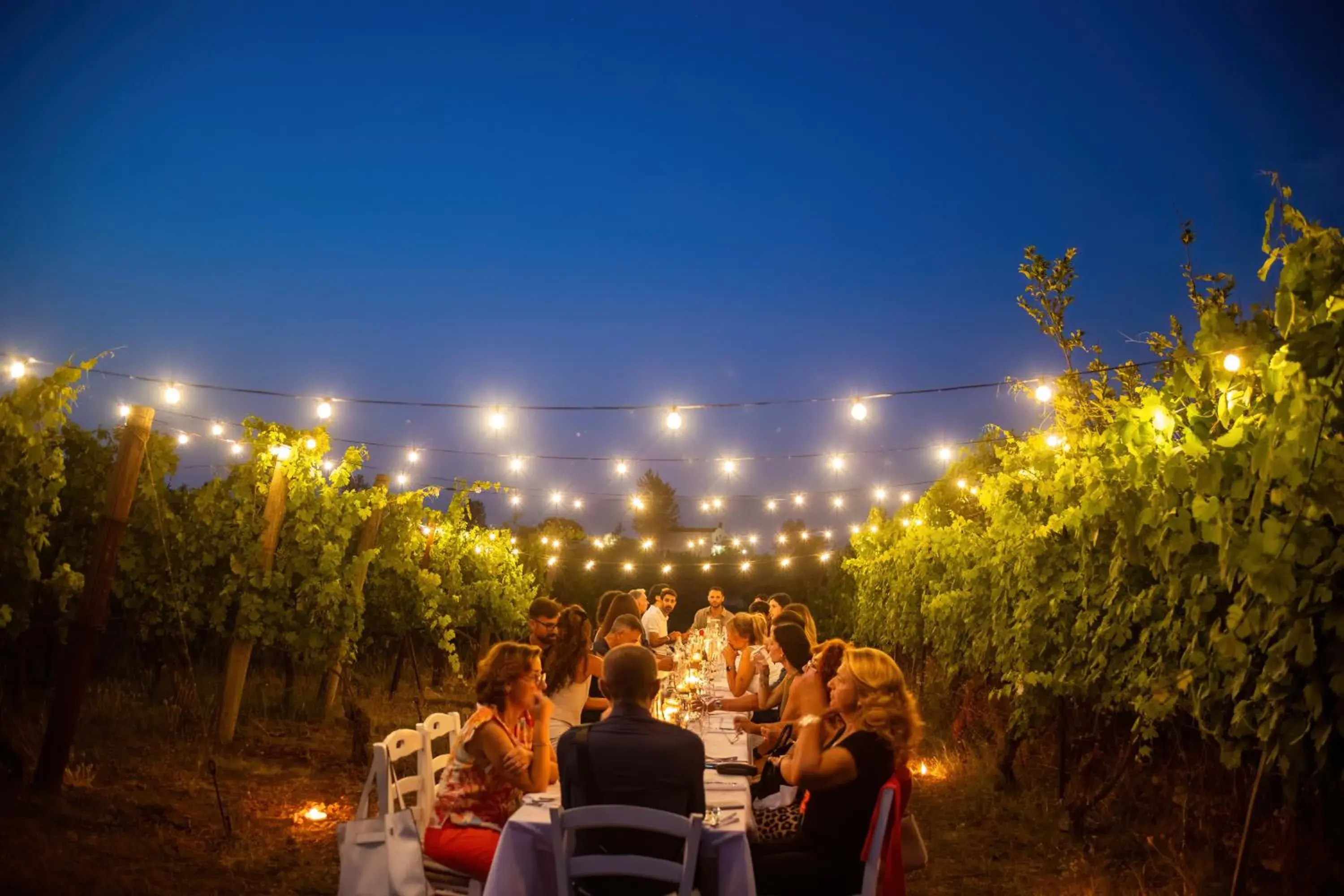 Restaurant/places to eat in Vesuvio Inn Bed & Wine Experience Restaurant/places to eat in Vesuvio Inn Bed & Wine Experience