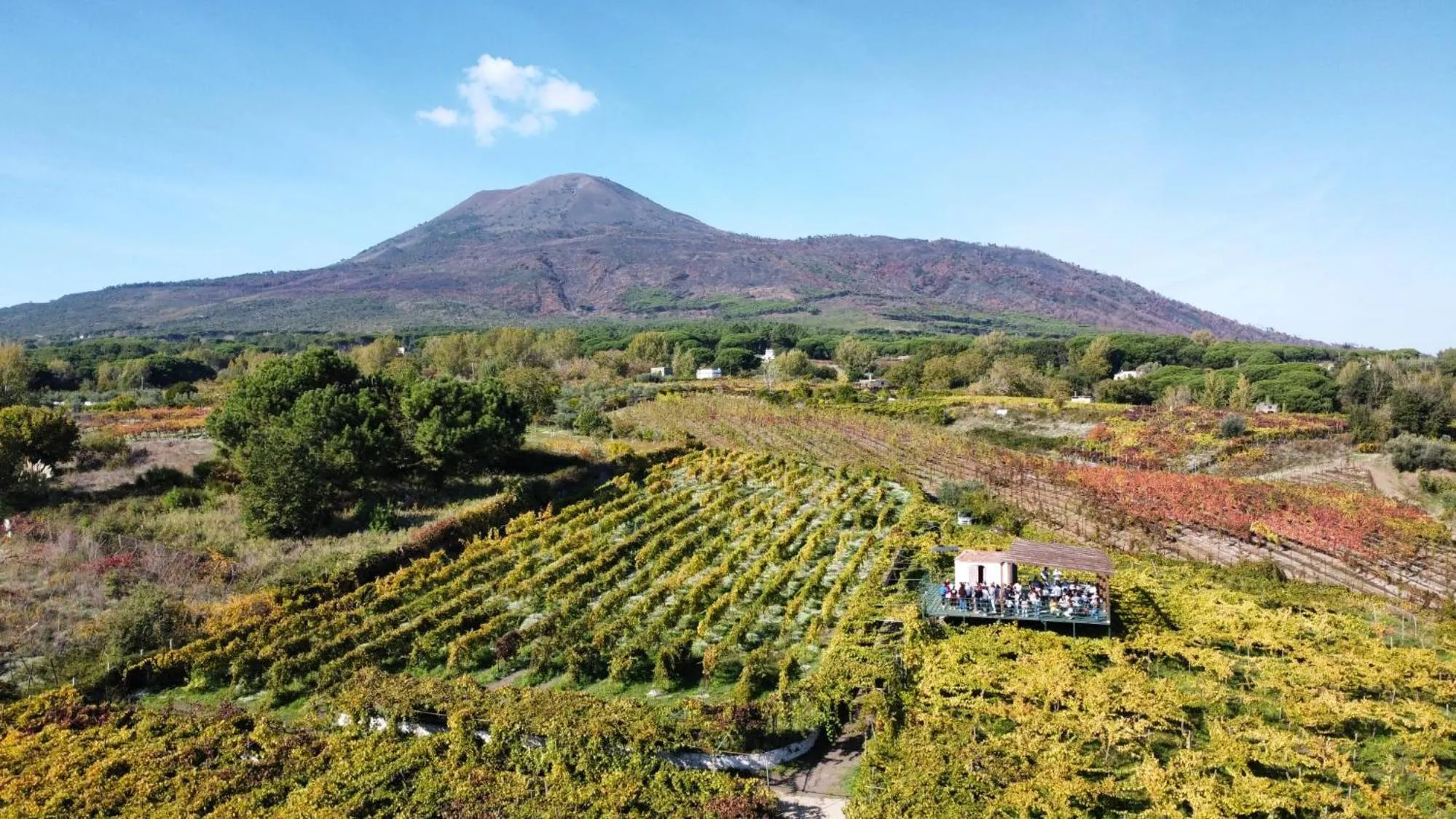 Activities in Vesuvio Inn Bed & Wine Experience
