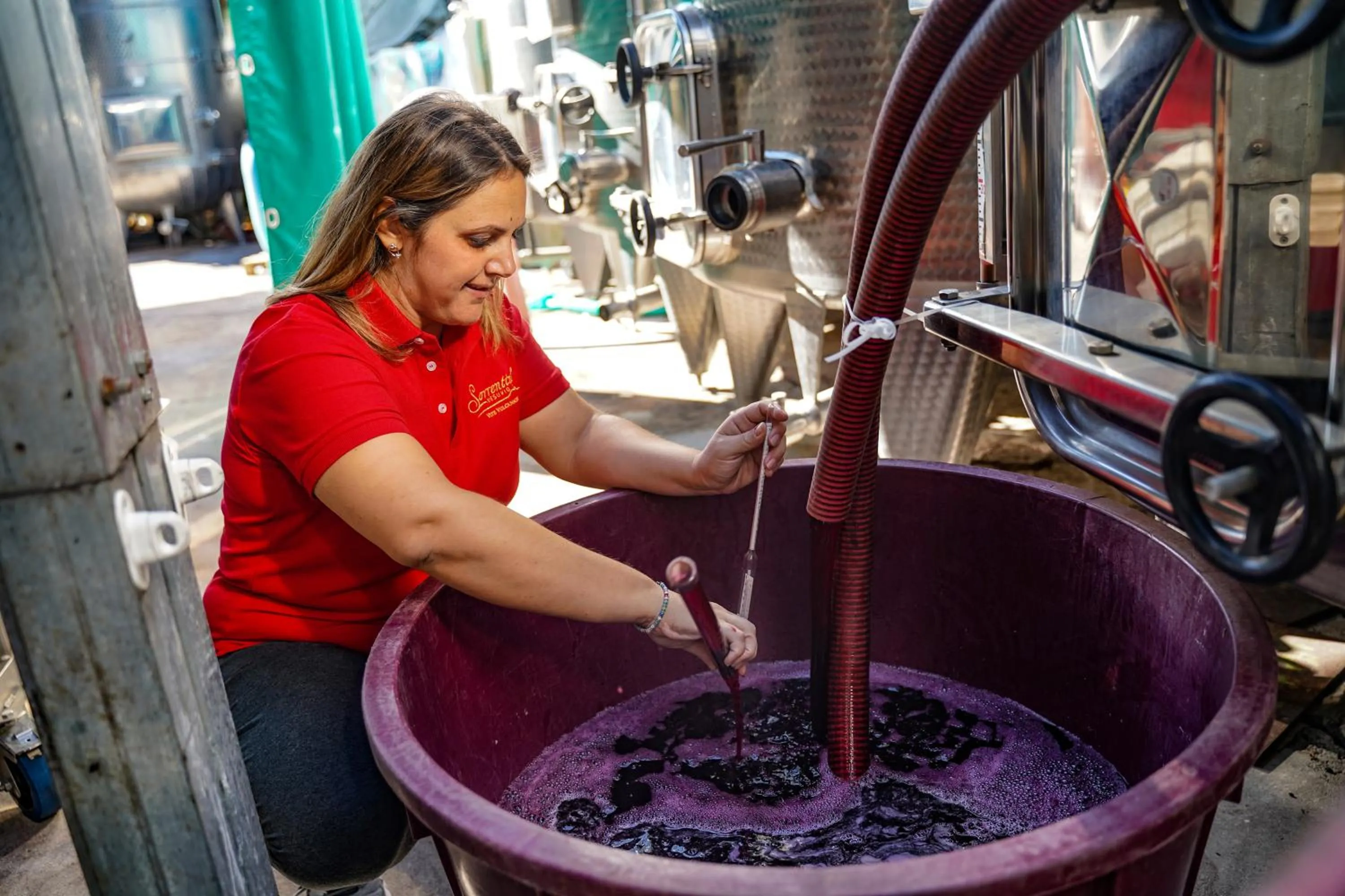 Activities in Vesuvio Inn Bed & Wine Experience