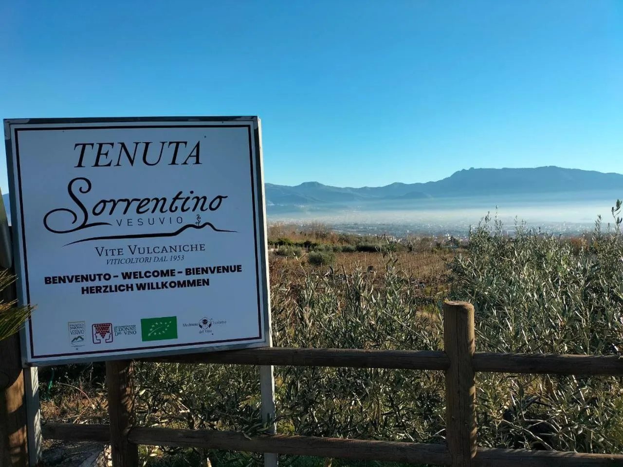 Property logo or sign in Vesuvio Inn Bed & Wine Experience