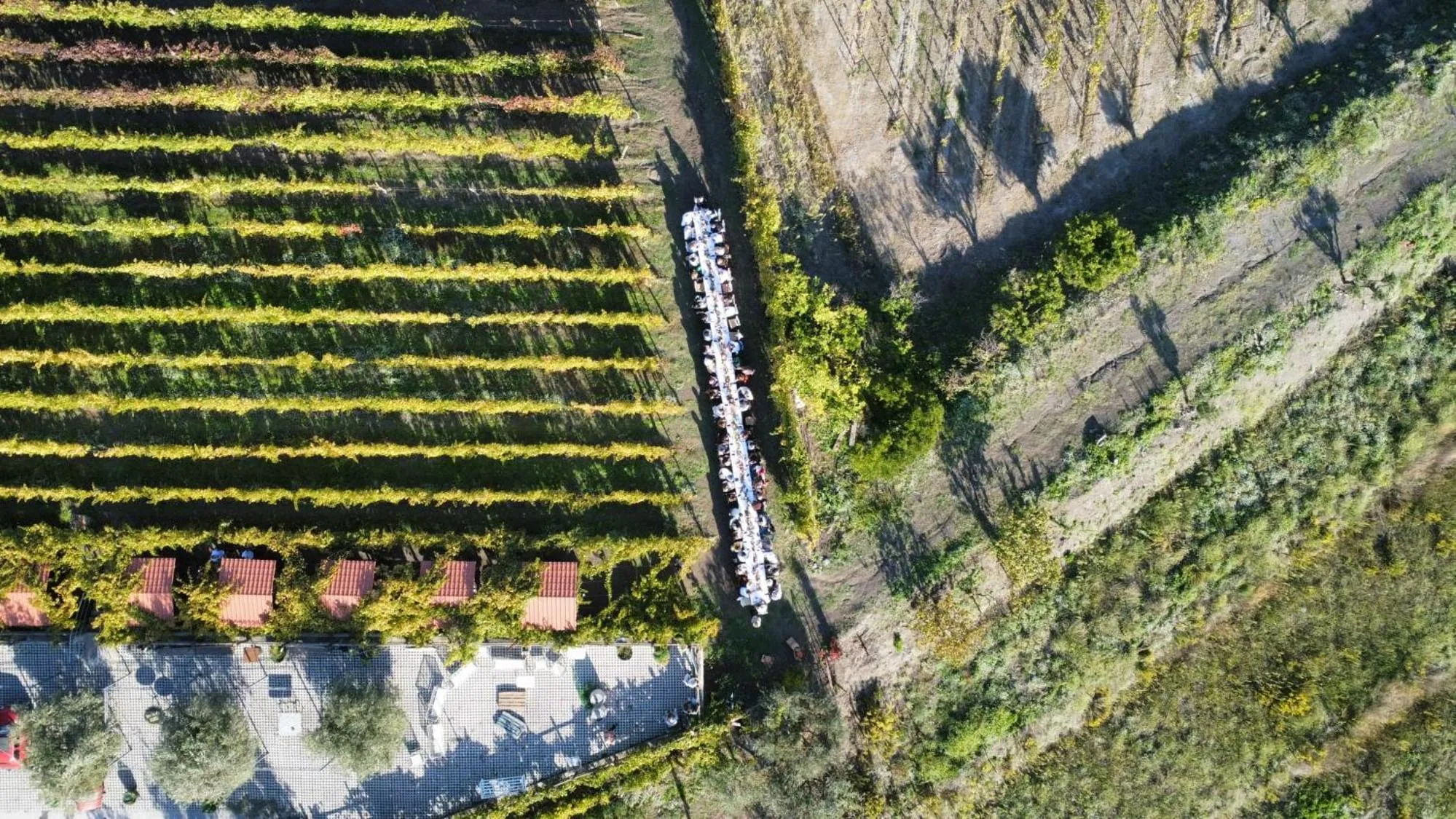 Activities in Vesuvio Inn Bed & Wine Experience