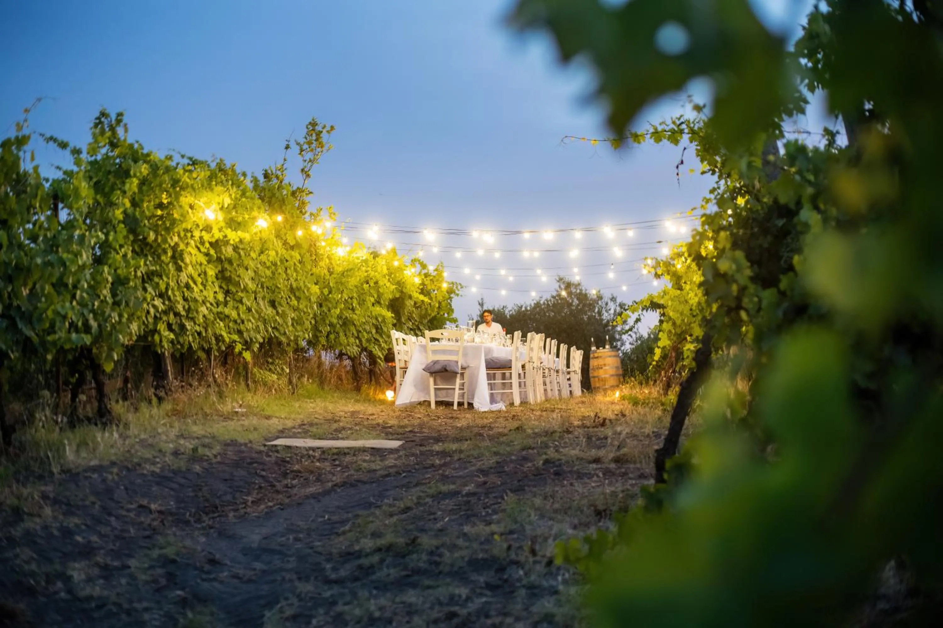 Restaurant/places to eat in Vesuvio Inn Bed & Wine Experience