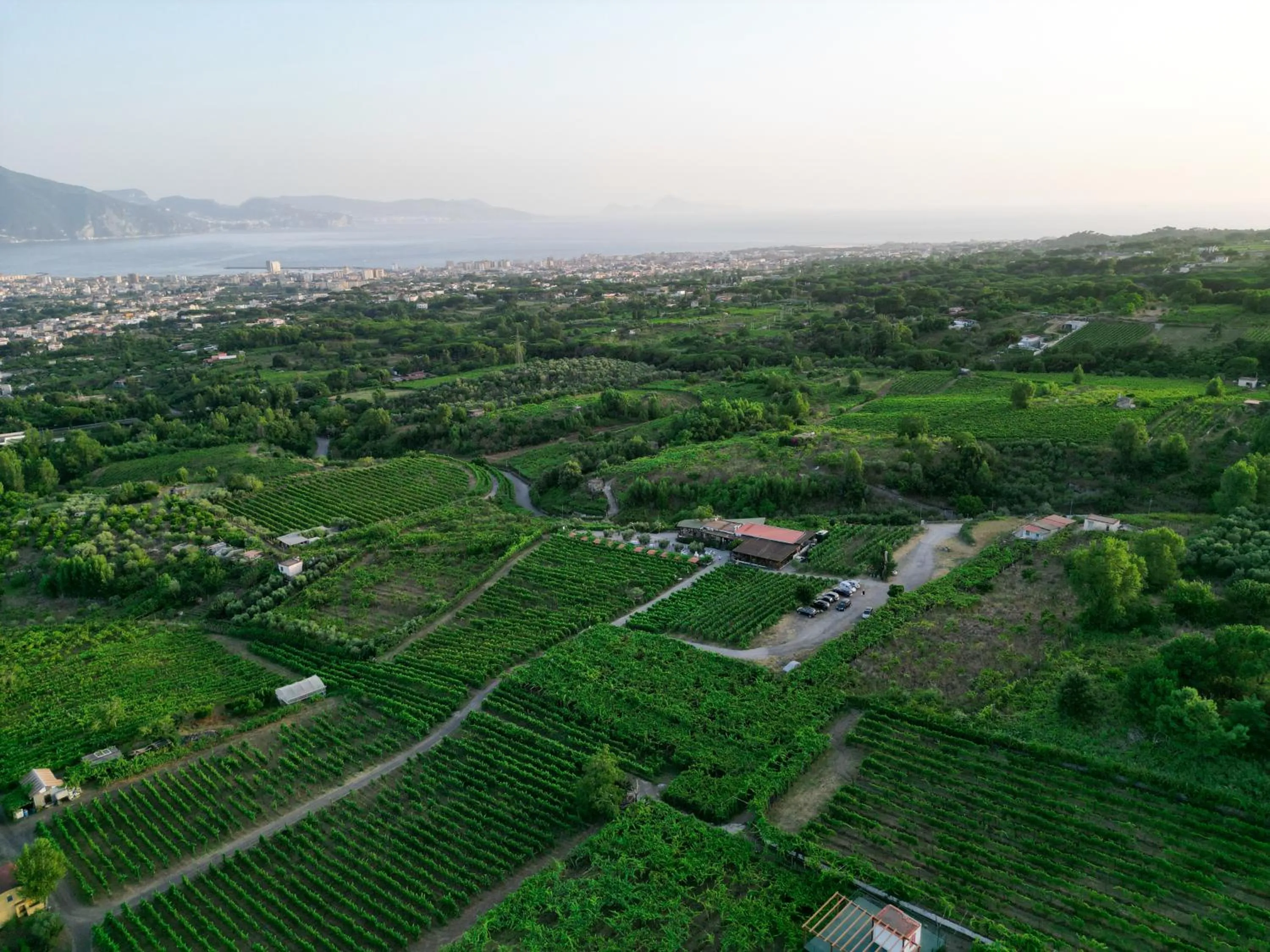 Natural landscape in Vesuvio Inn Bed & Wine Experience