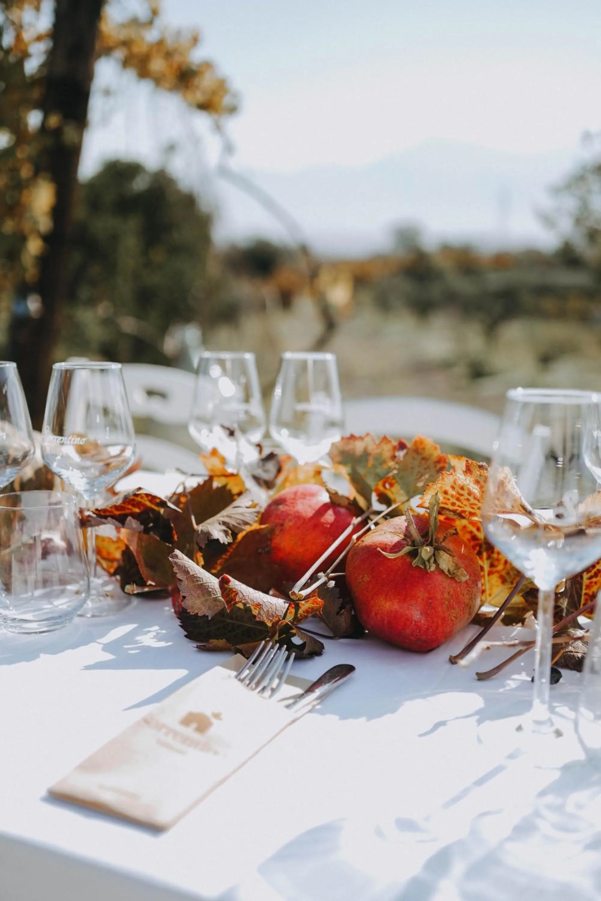 Restaurant/places to eat in Vesuvio Inn Bed & Wine Experience