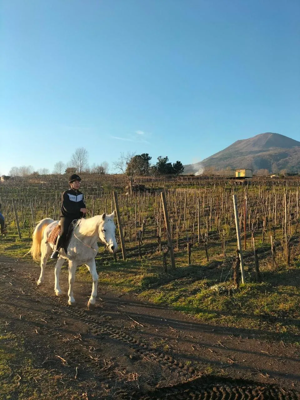 People in Vesuvio Inn Bed & Wine Experience