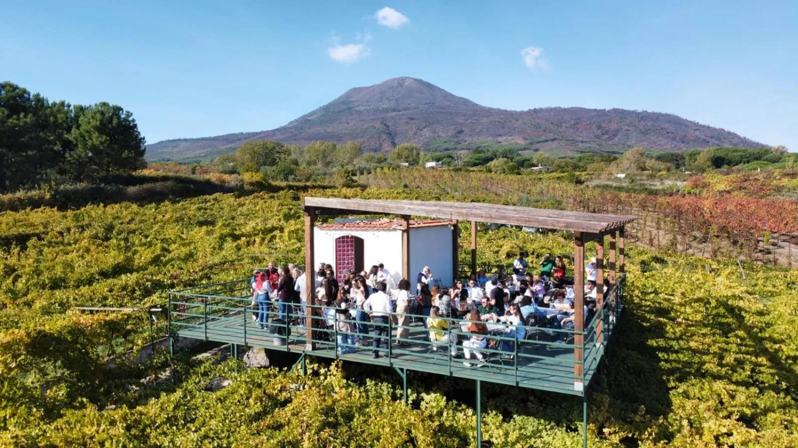 Natural landscape in Vesuvio Inn Bed & Wine Experience