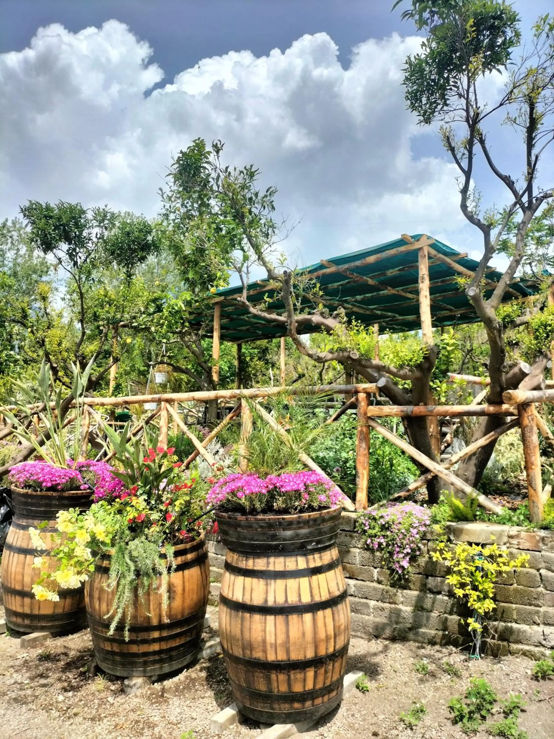 Garden in Vesuvio Inn Bed & Wine Experience