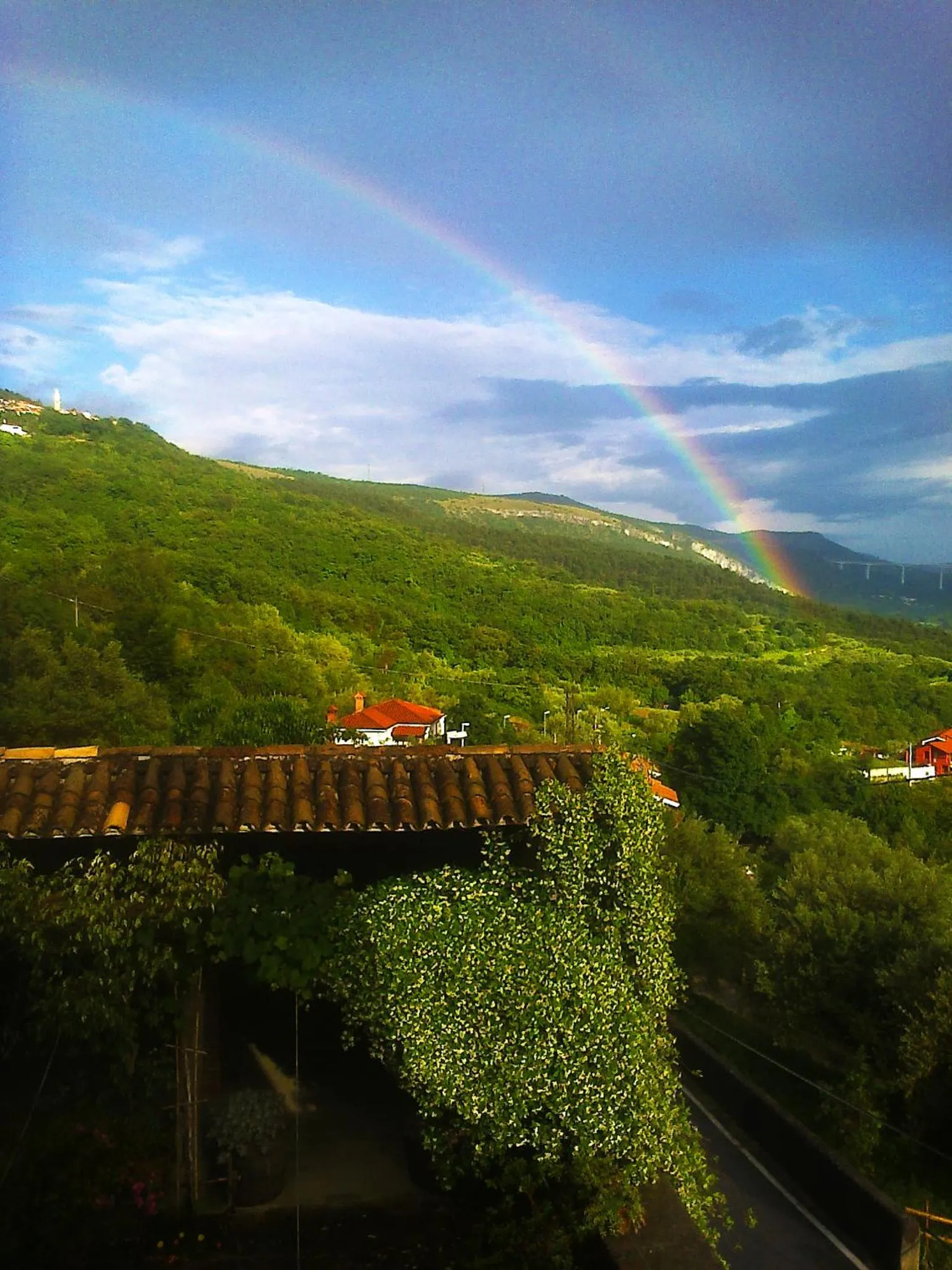 Il Glicine