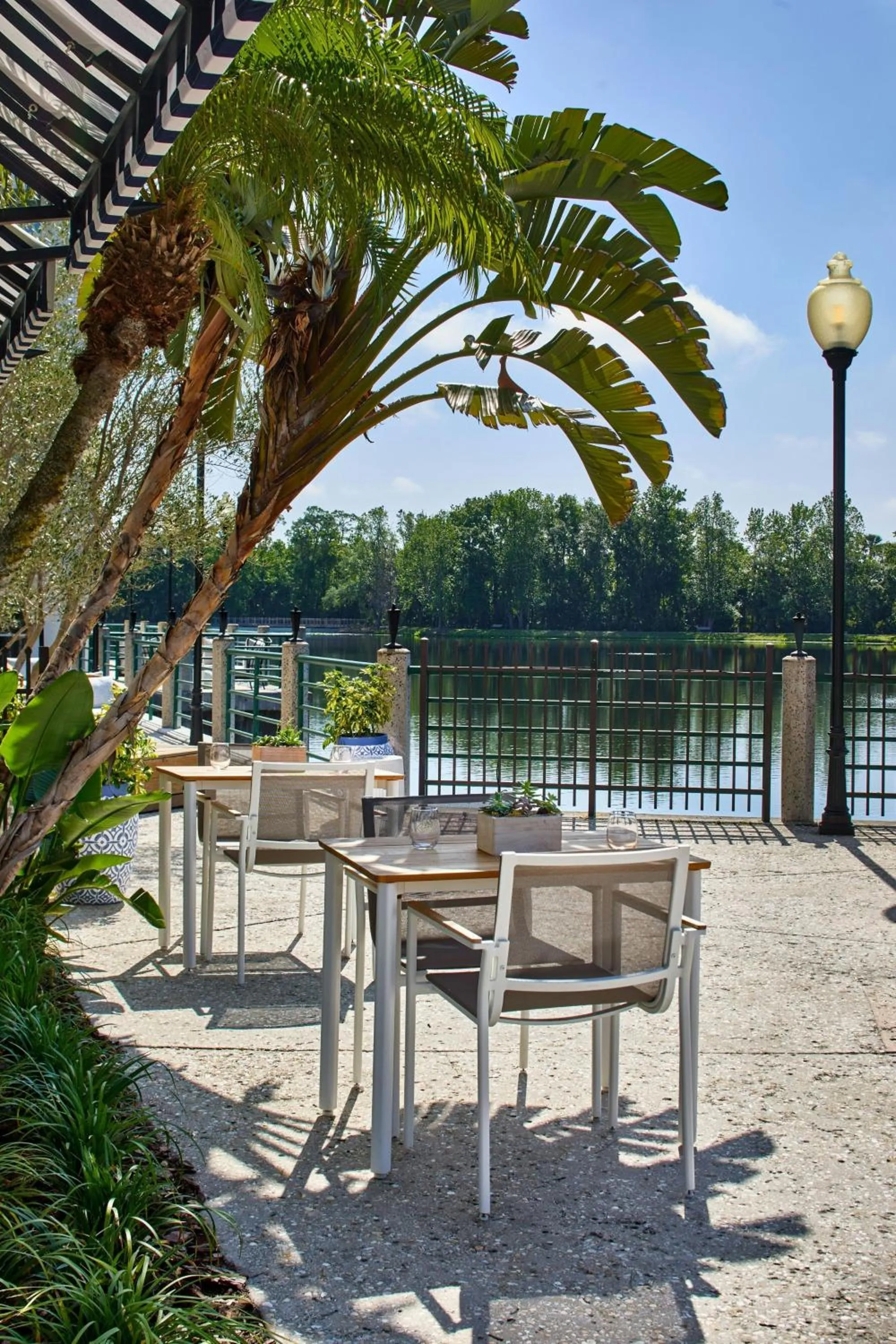 Other in The Inn at Celebration, Autograph Collection