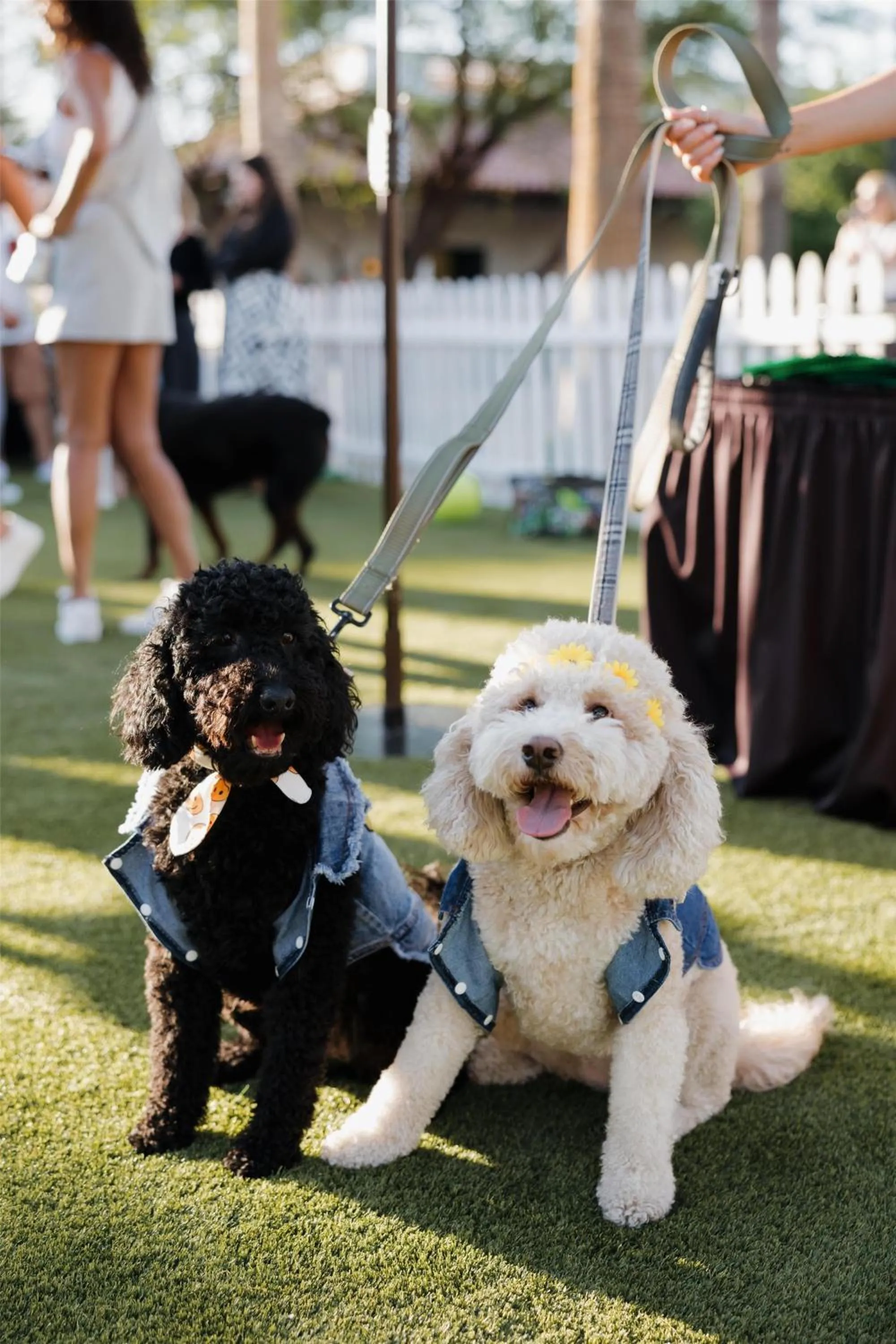 The Scottsdale Resort & Spa, Curio Collection by Hilton