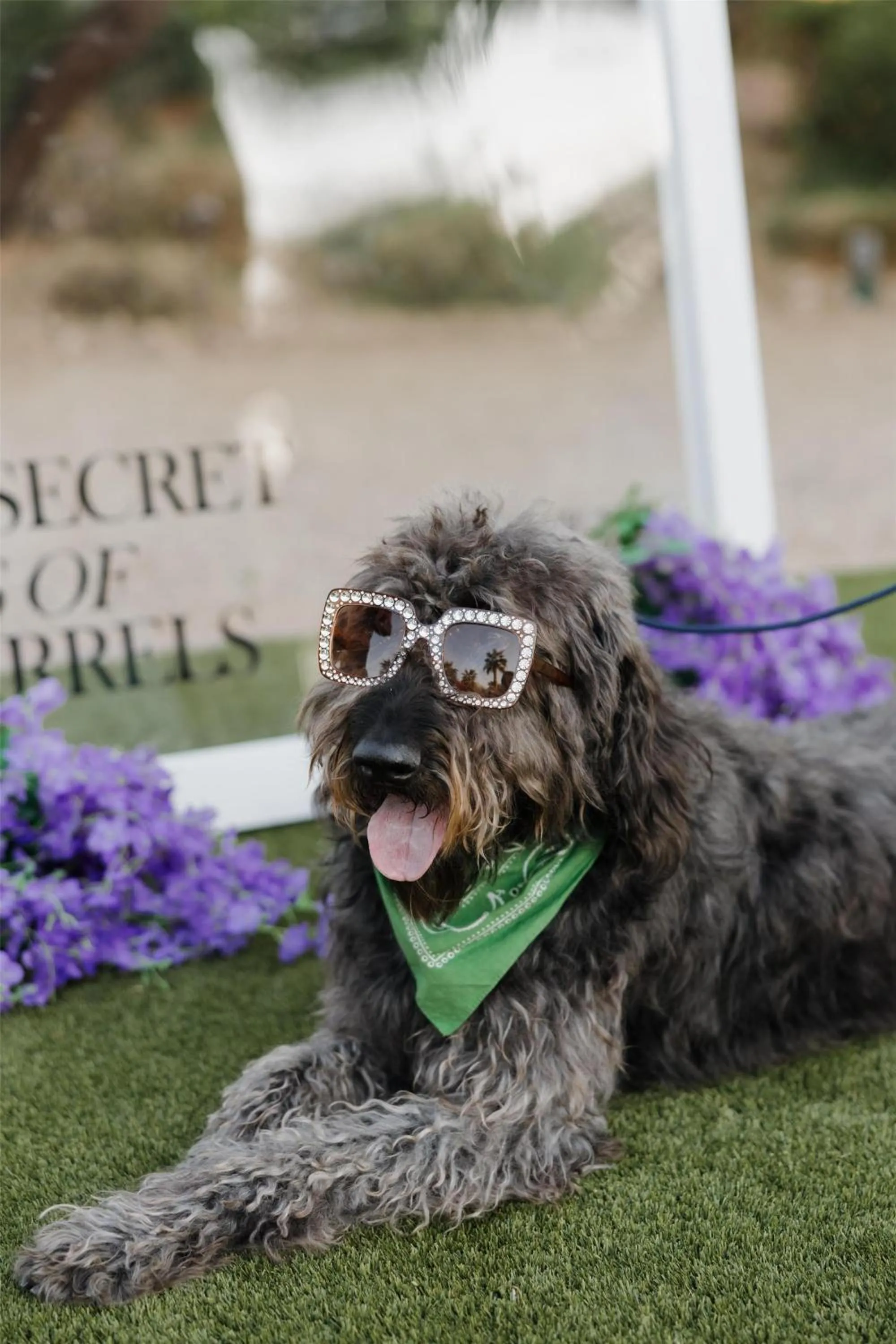 The Scottsdale Resort & Spa, Curio Collection by Hilton