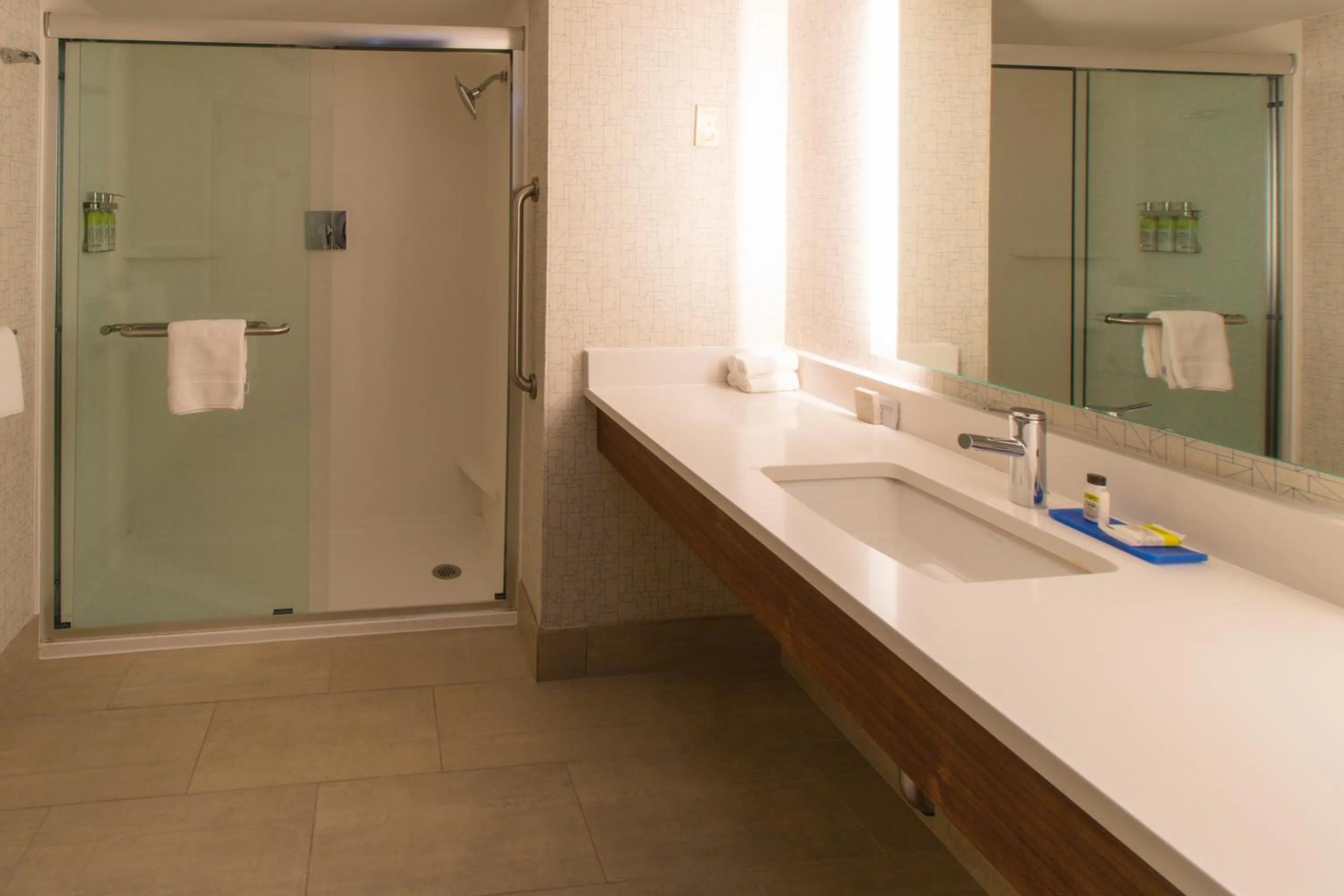Bathroom in Holiday Inn Express & Suites Manassas by IHG