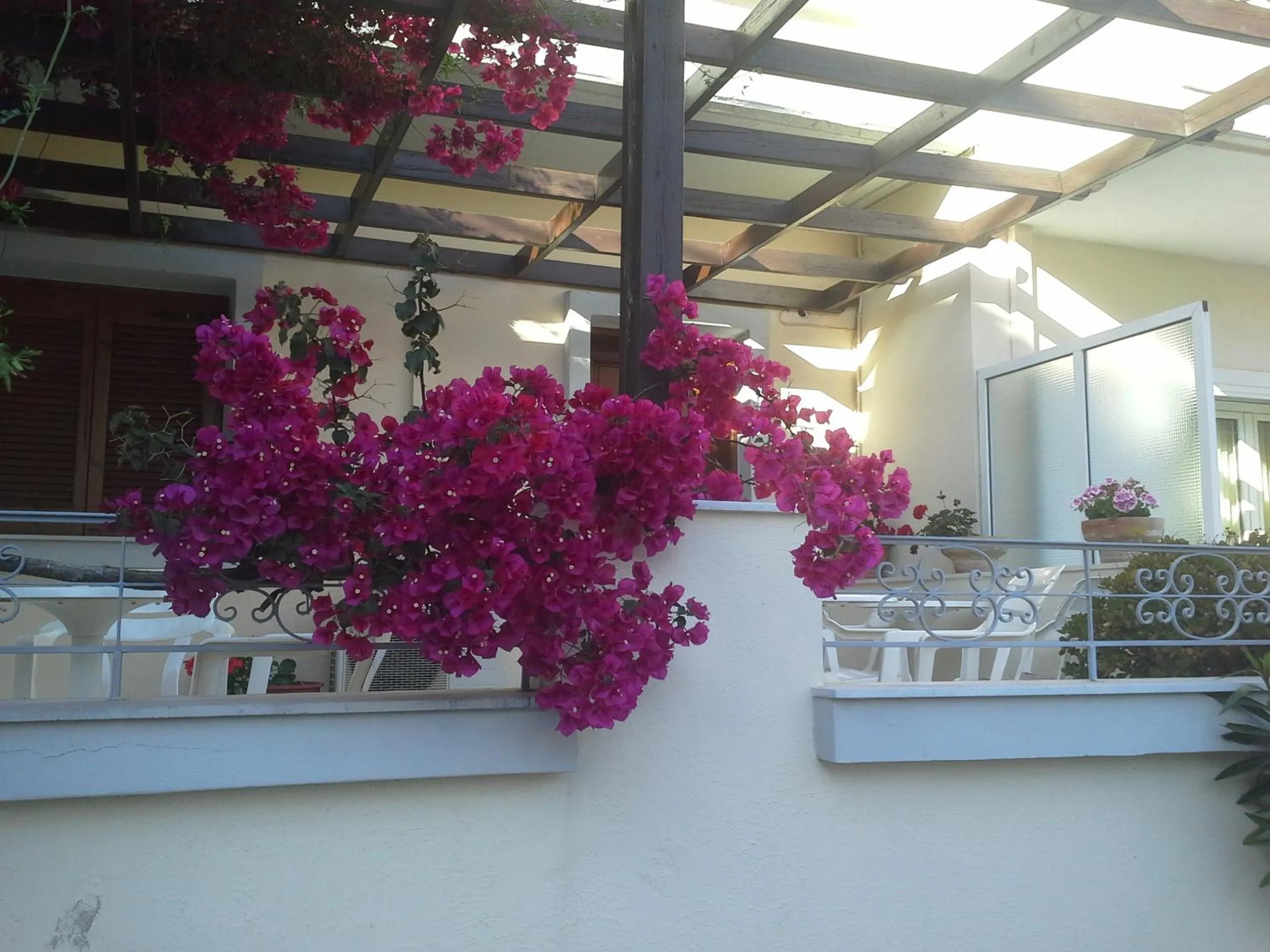 Patio in Alexandra Hotel
