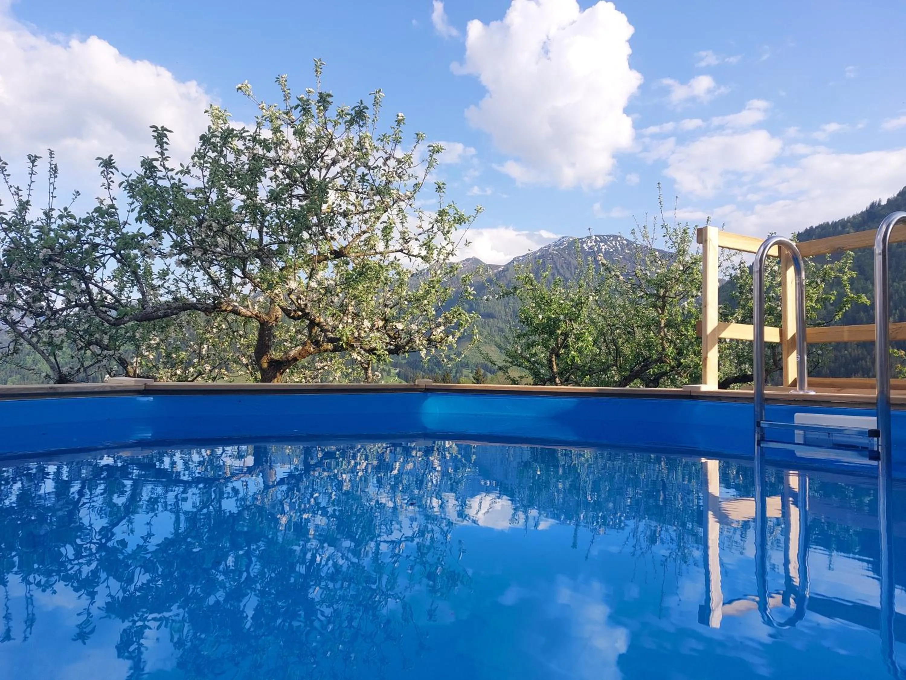 Swimming pool in Ferienwohnungen Egg