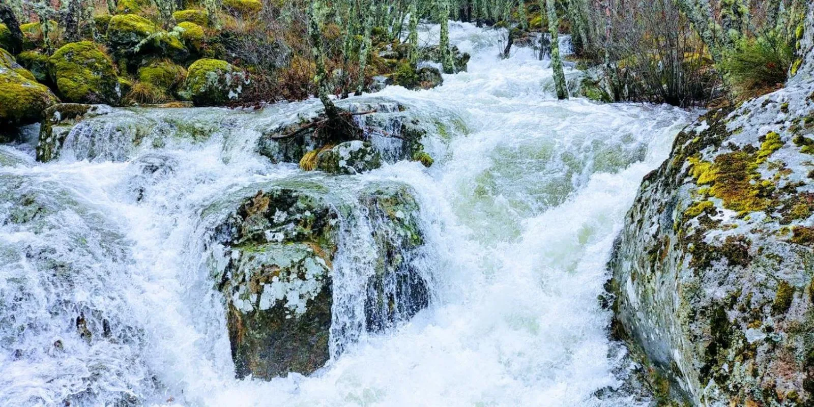 Hotel La Casa Chacinera