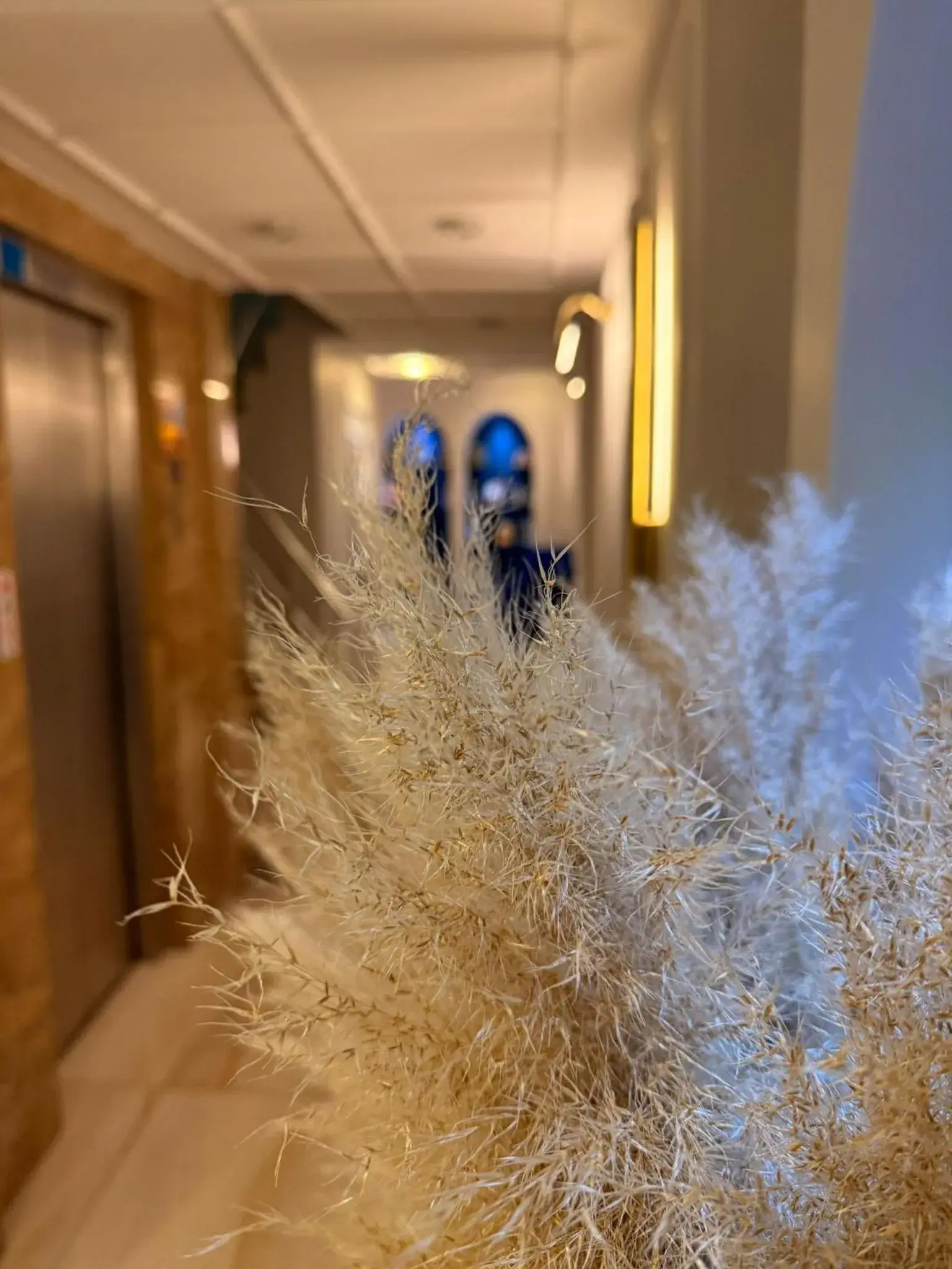 Lobby or reception in New Florenta Hotel Lobby or reception in New Florenta Hotel