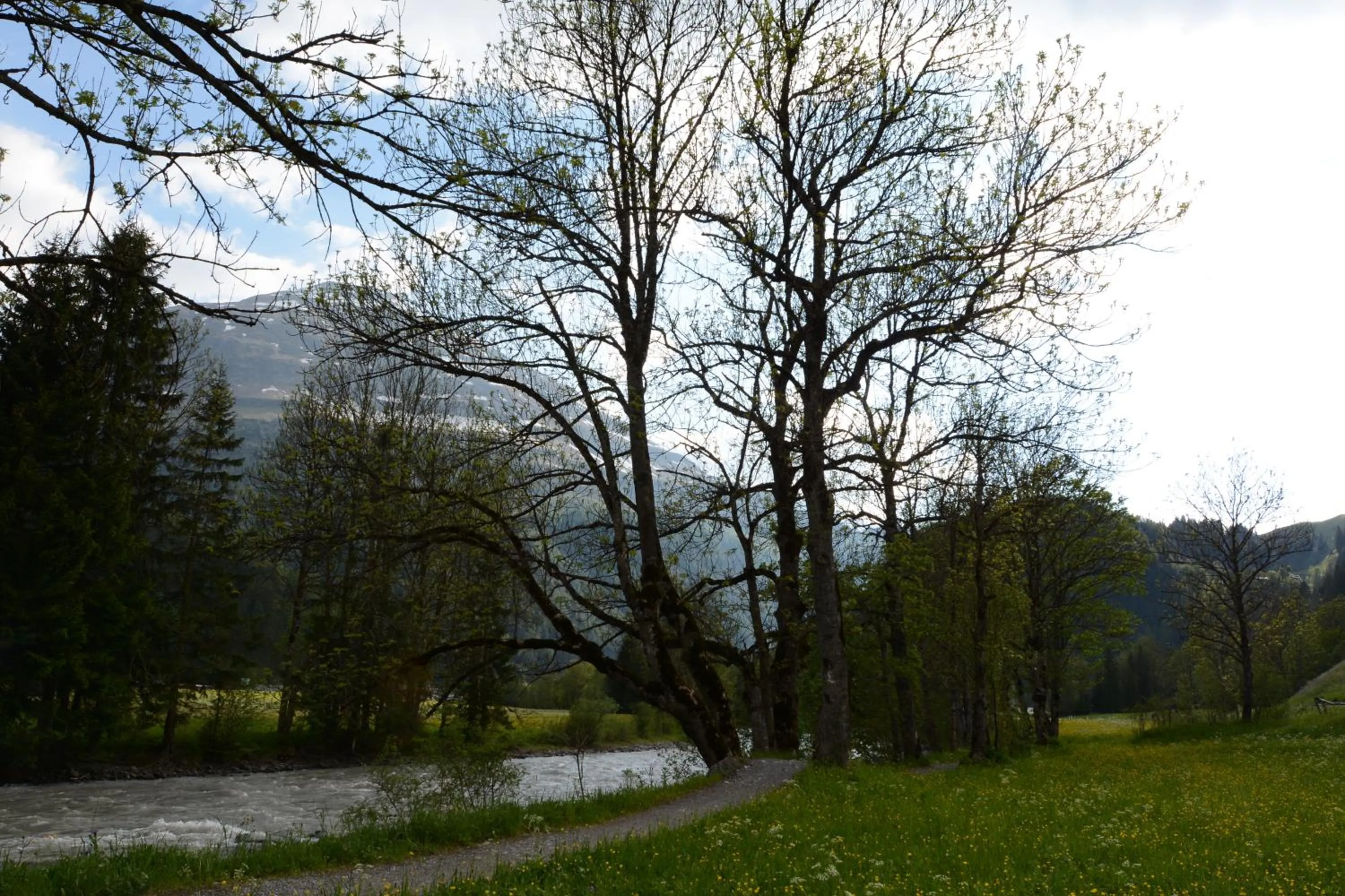 Horse-riding in Pension Alpenblick