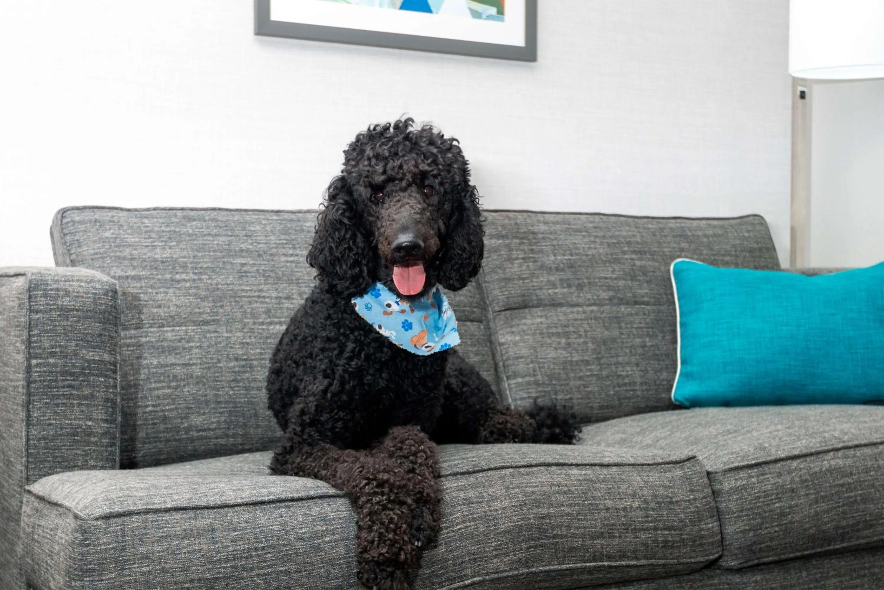Living room in Hampton Inn Hartford Airport