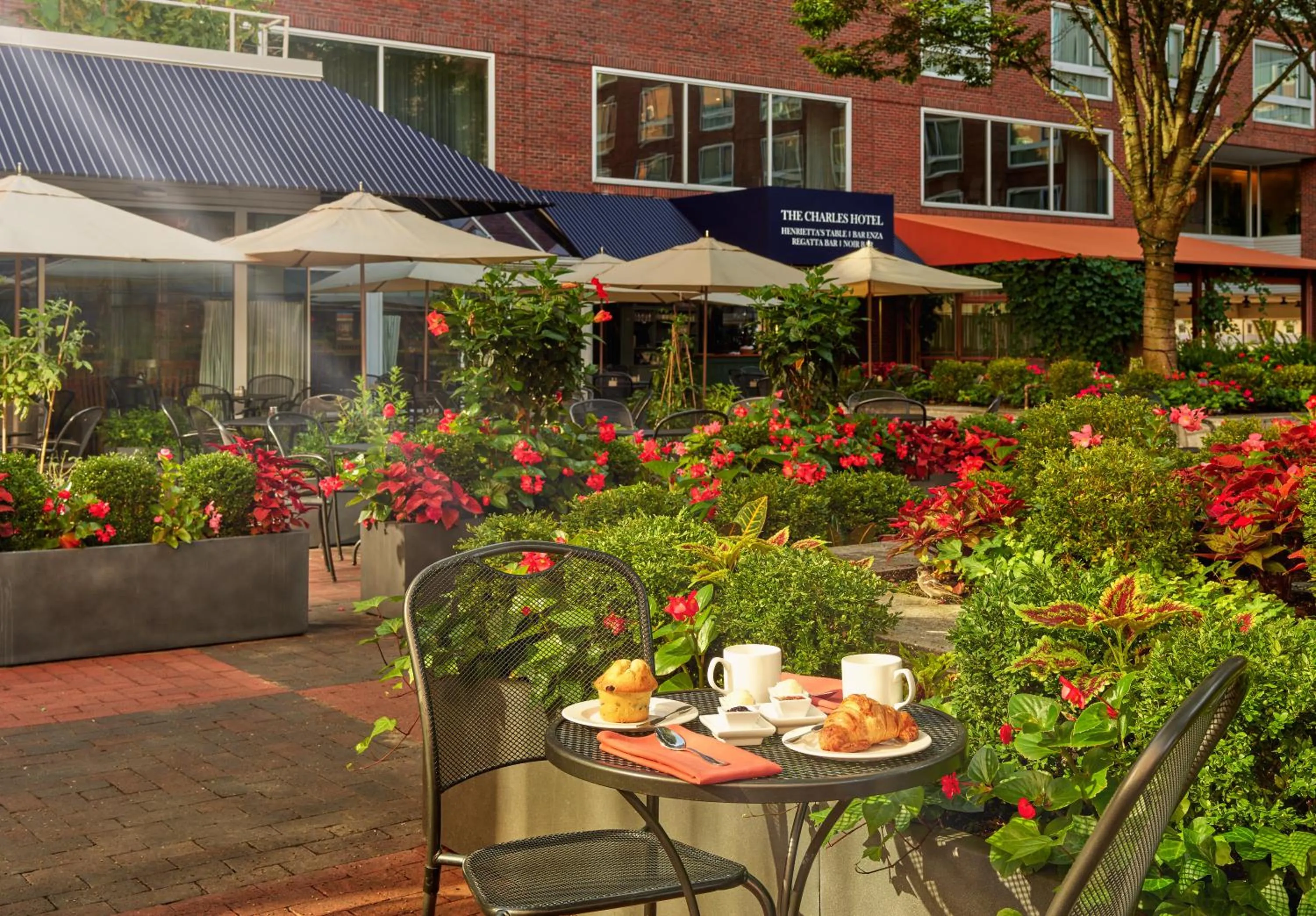 Patio in The Charles Hotel in Harvard Square