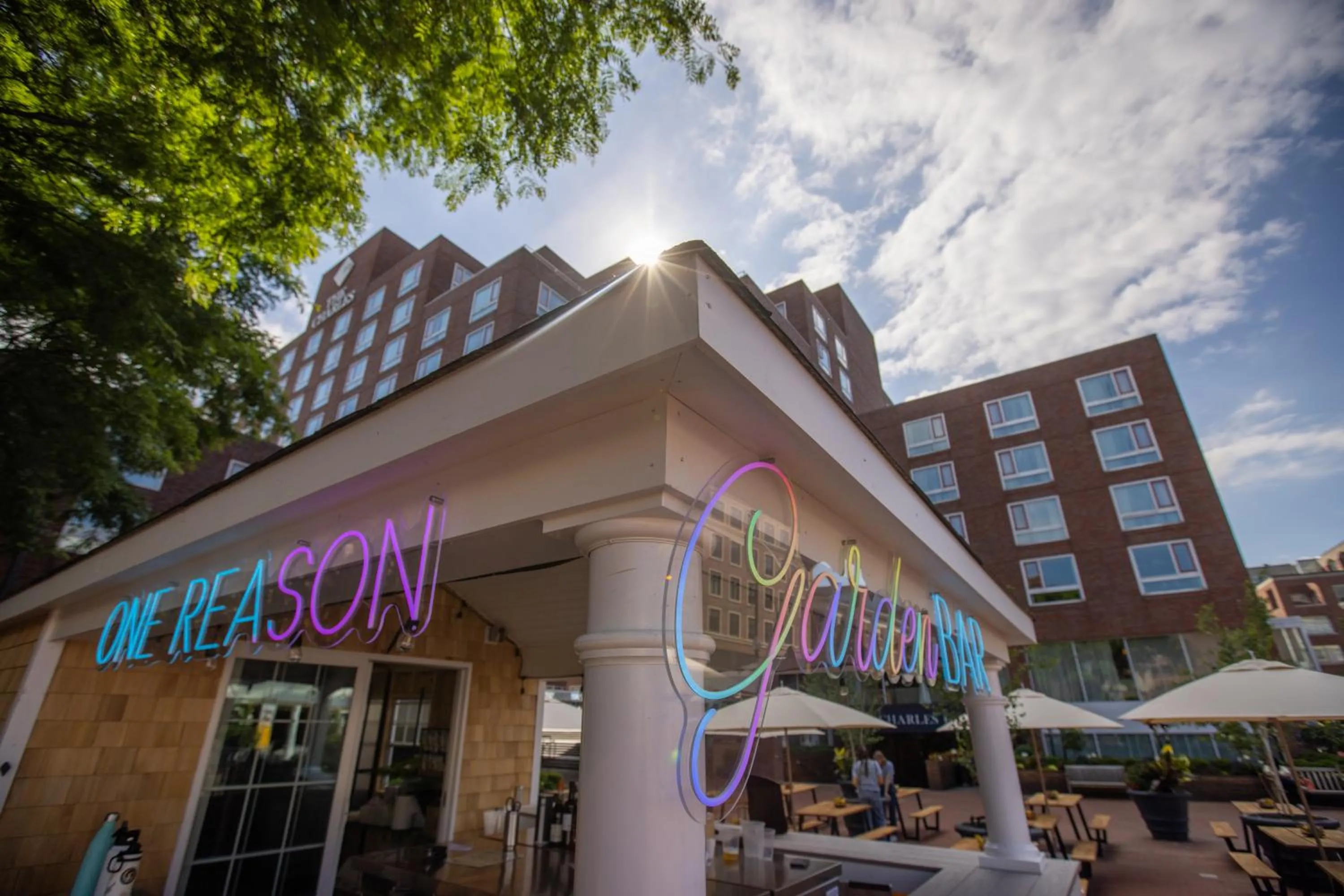 Restaurant/places to eat in The Charles Hotel in Harvard Square