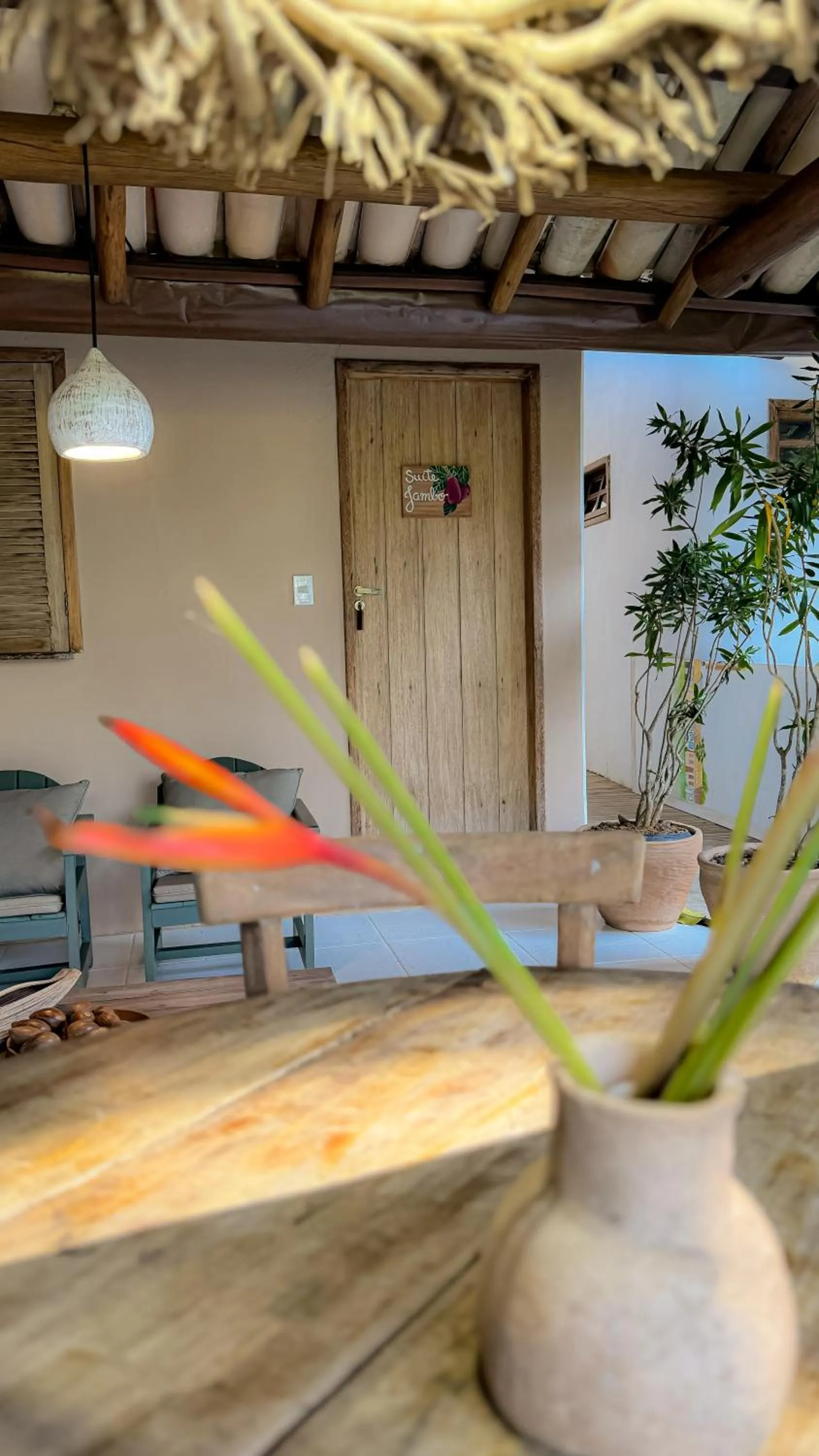 Casa Rabanete Trancoso