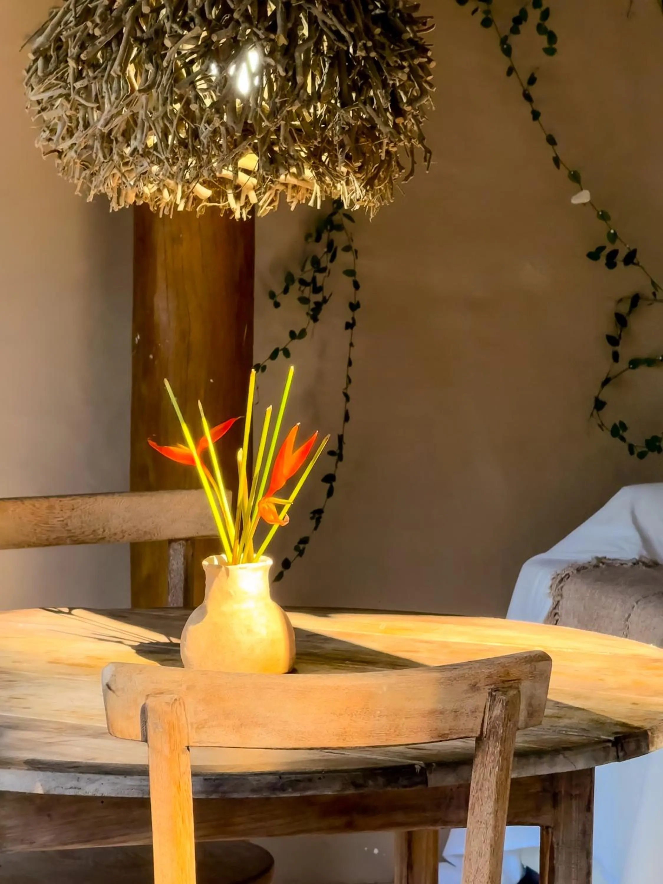 Casa Rabanete Trancoso