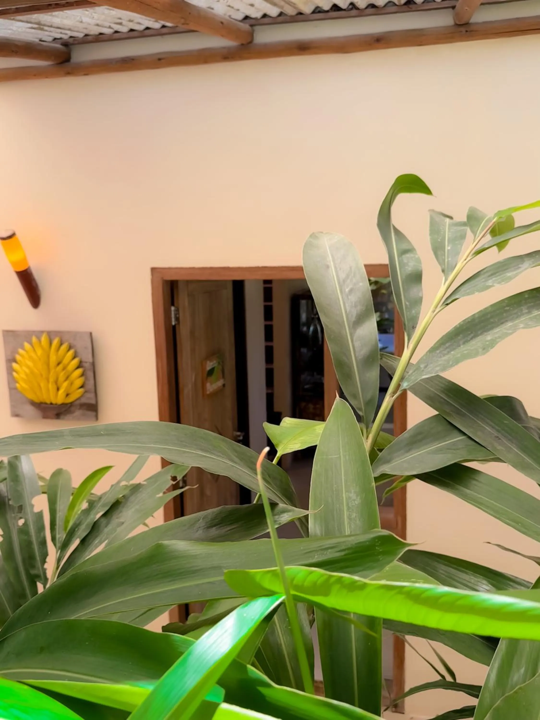 Casa Rabanete Trancoso