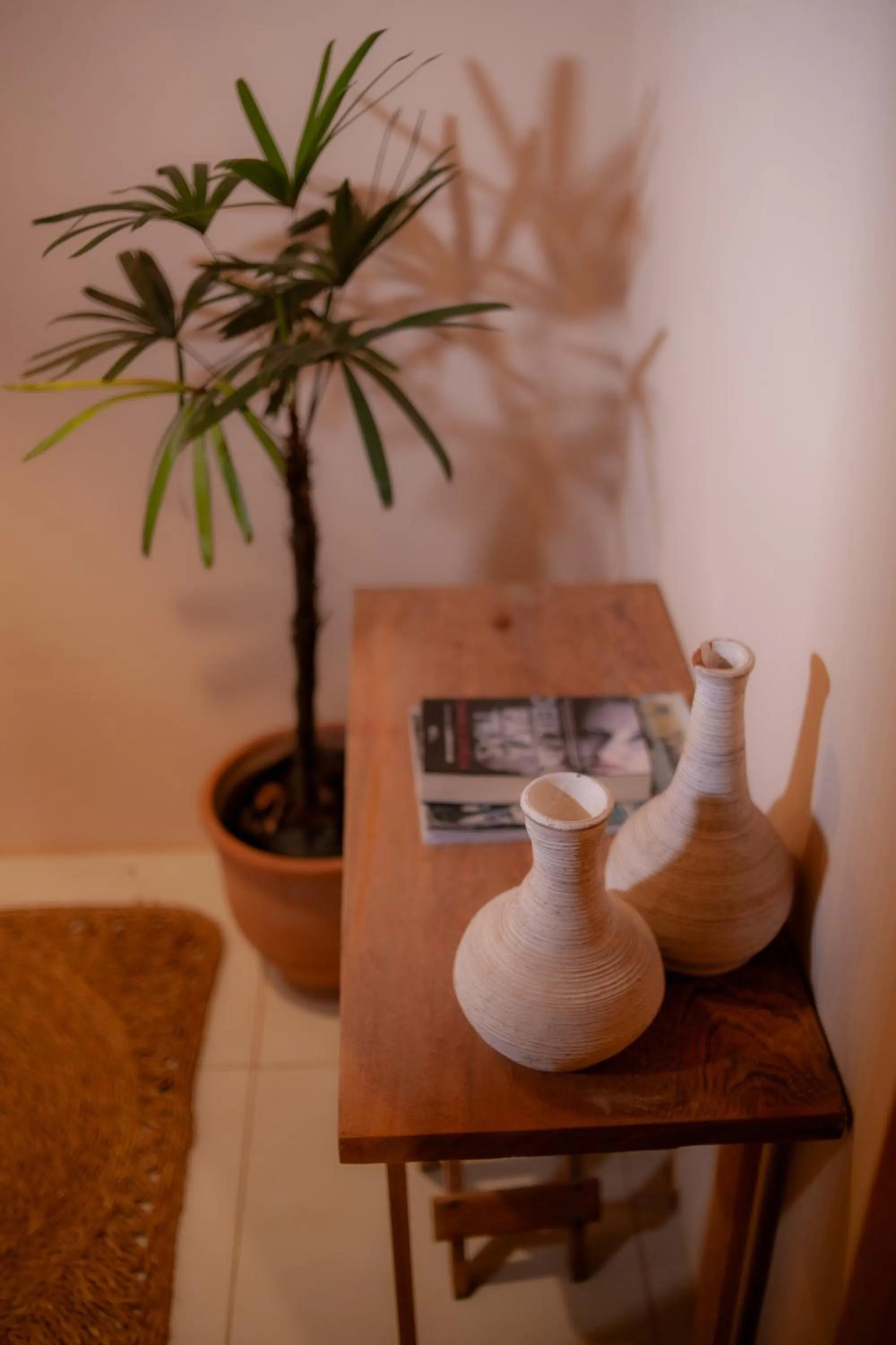 Casa Rabanete Trancoso