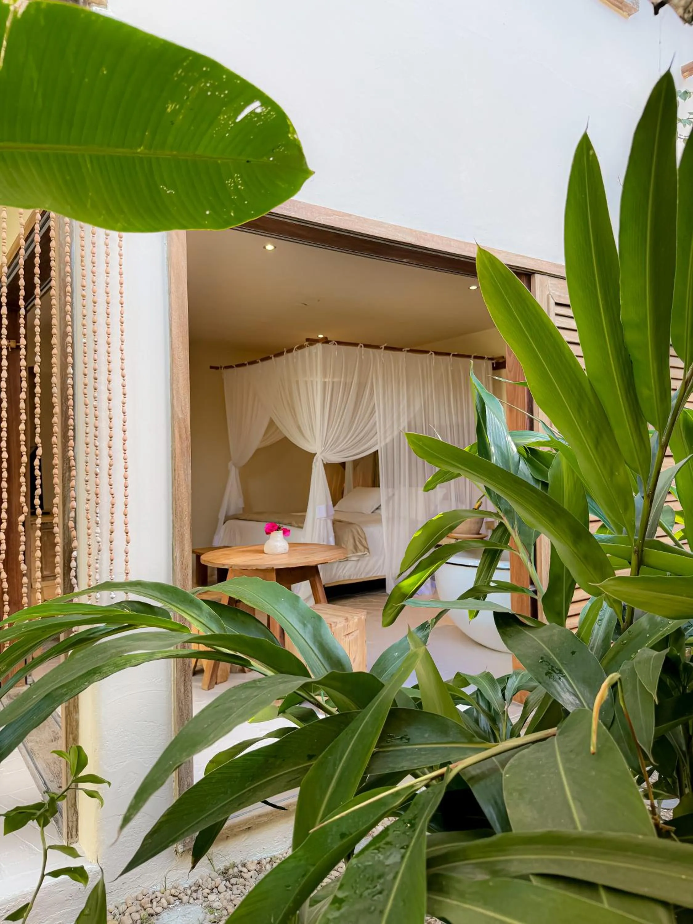 Casa Rabanete Trancoso