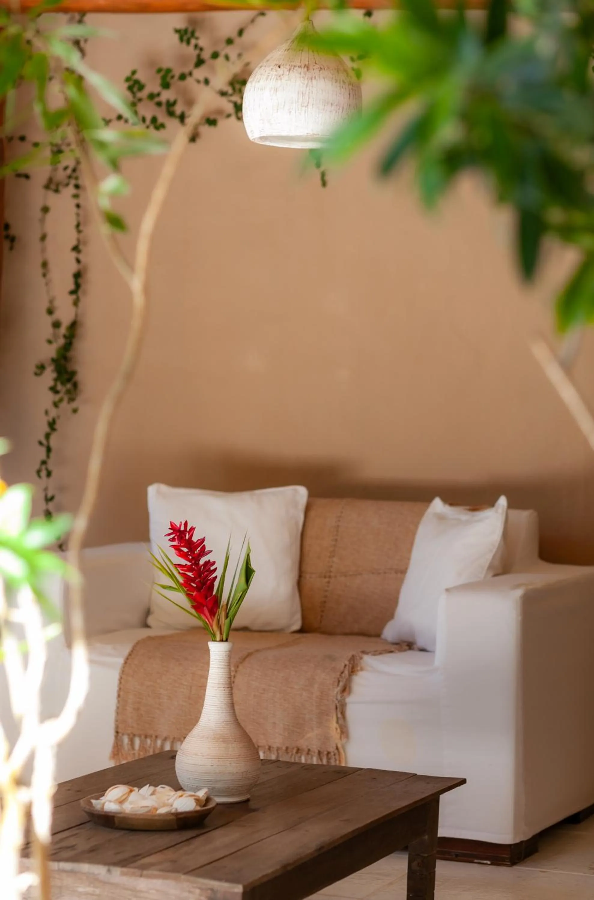 Casa Rabanete Trancoso