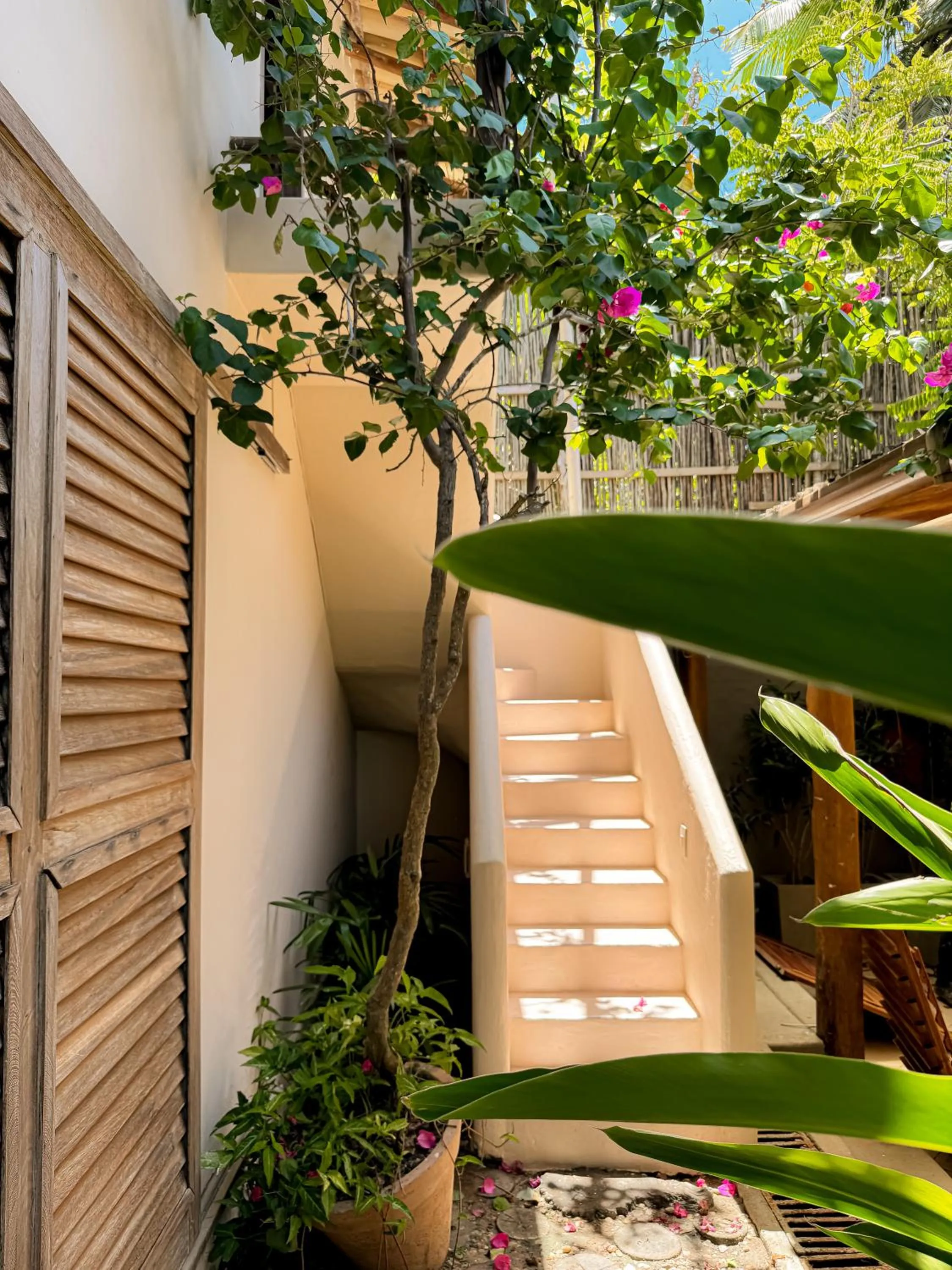 Casa Rabanete Trancoso