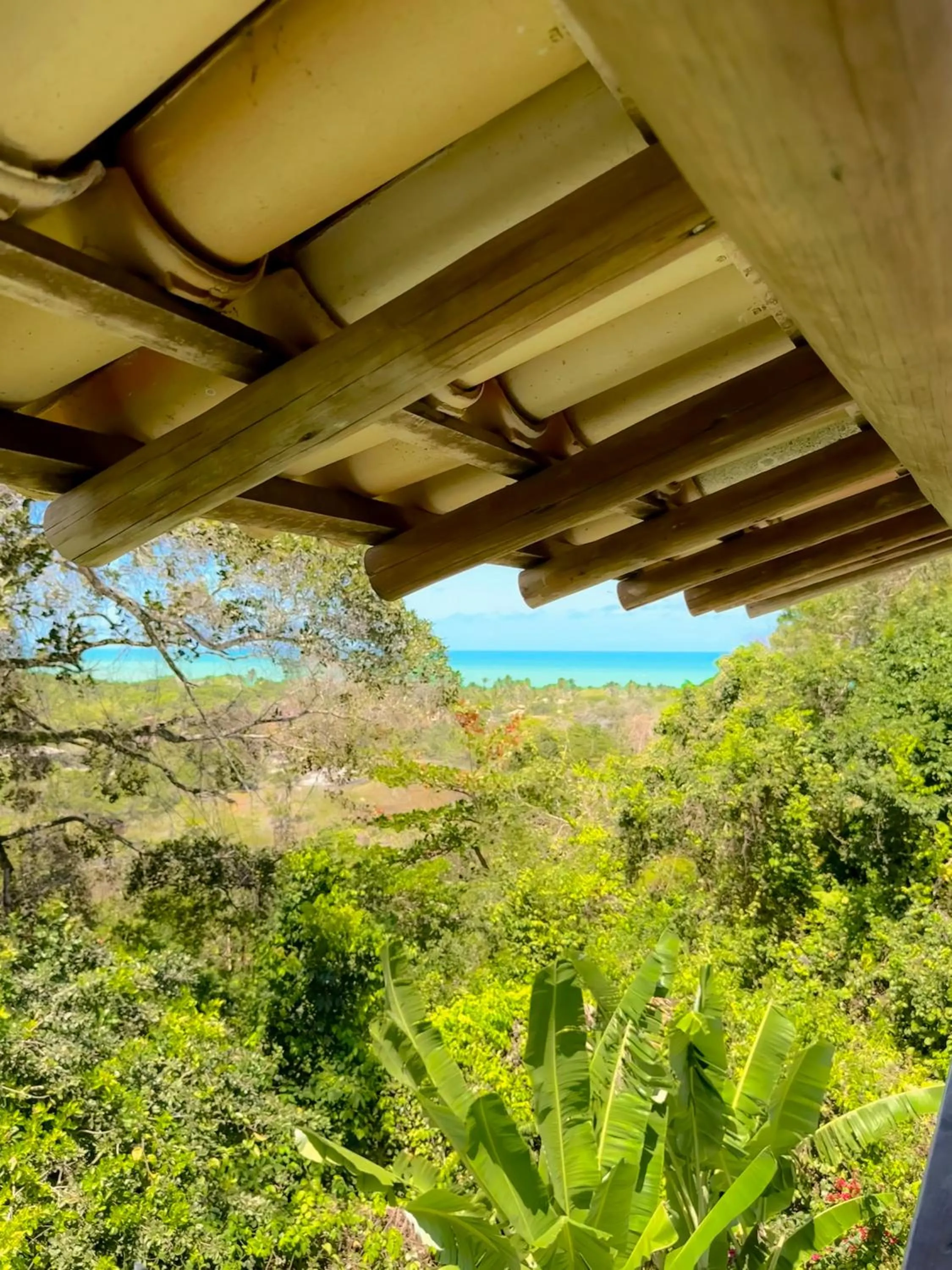 Casa Rabanete Trancoso